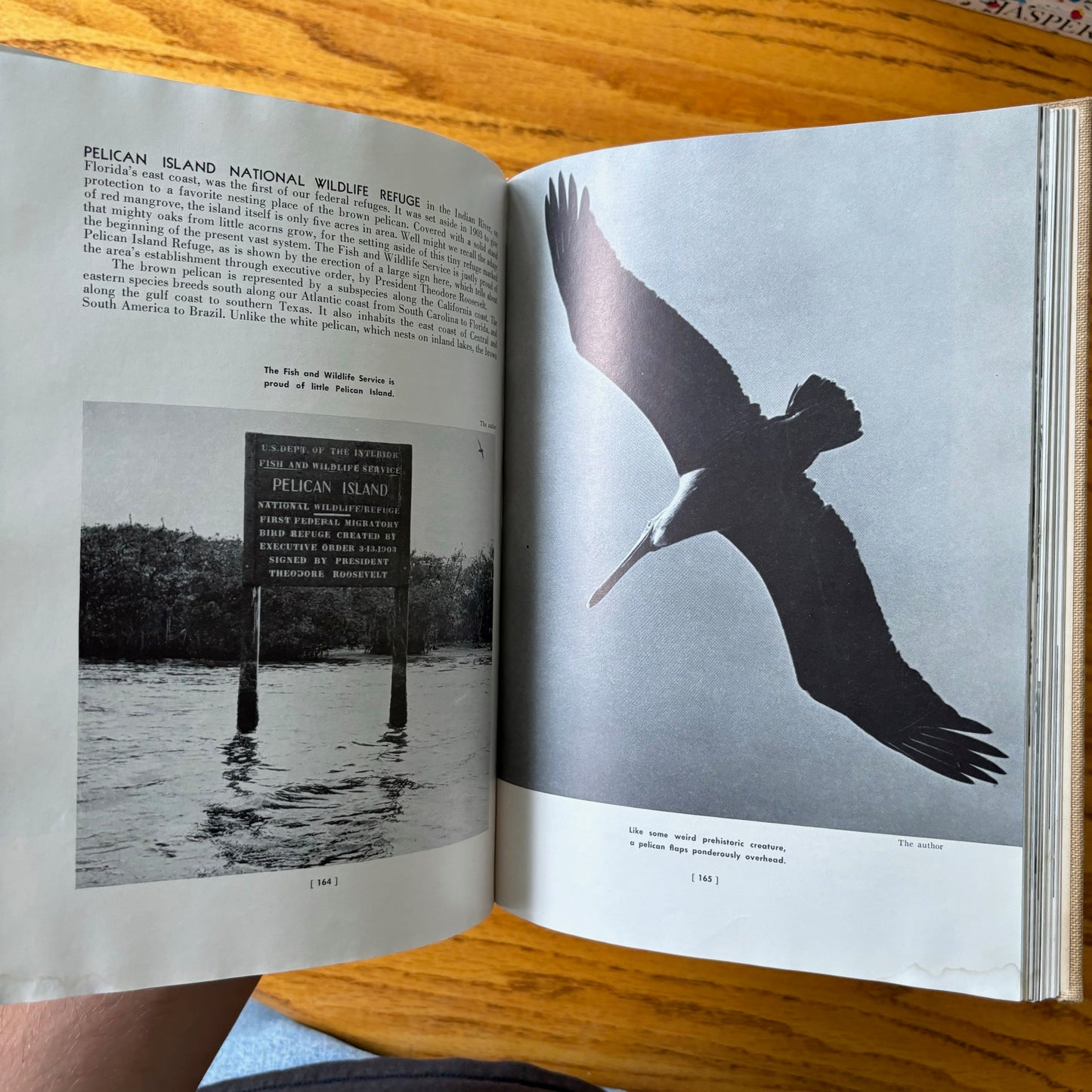 Devereux Butcher - Seeing America's Wildlife in Our Natural Refuges