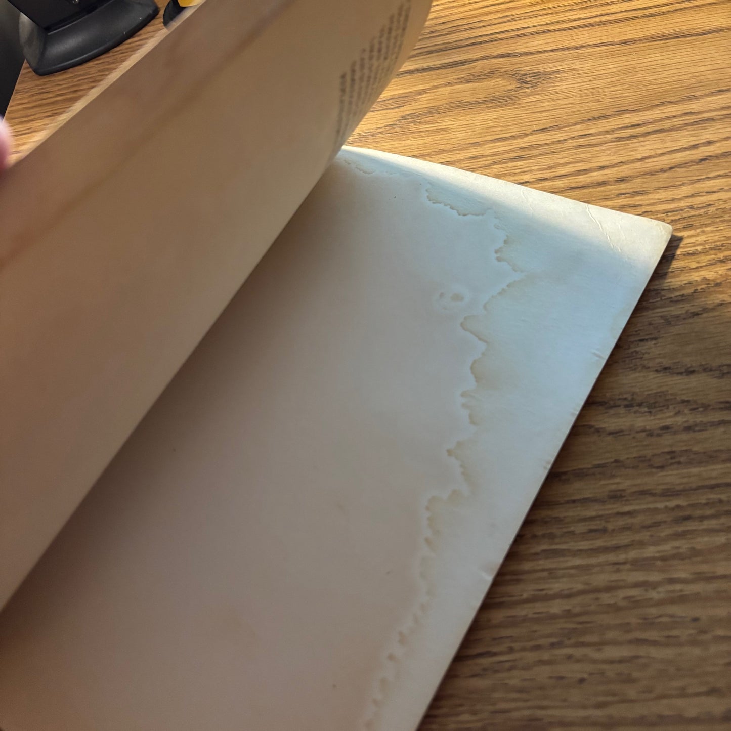 Lydia Lunch & Exene Cervenka - Adulterers Anonymous - First Edition