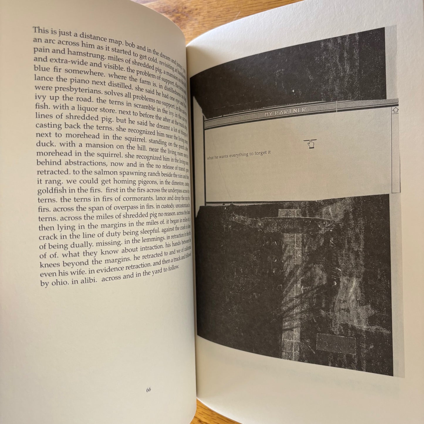 Lisa Jarnot - Some Other Kind of Mission