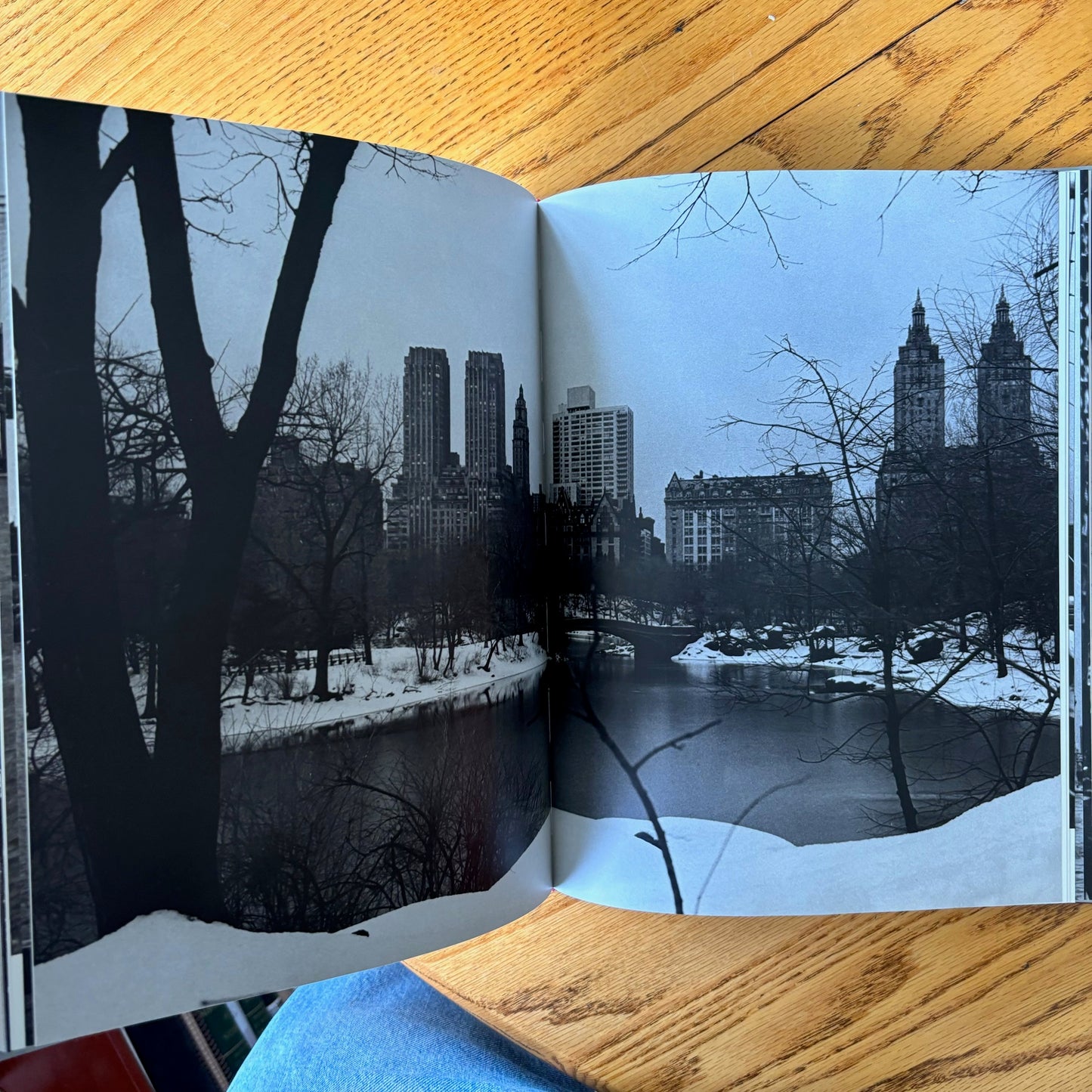 New York/New York: Masterworks of a Street Peddler: George Forss