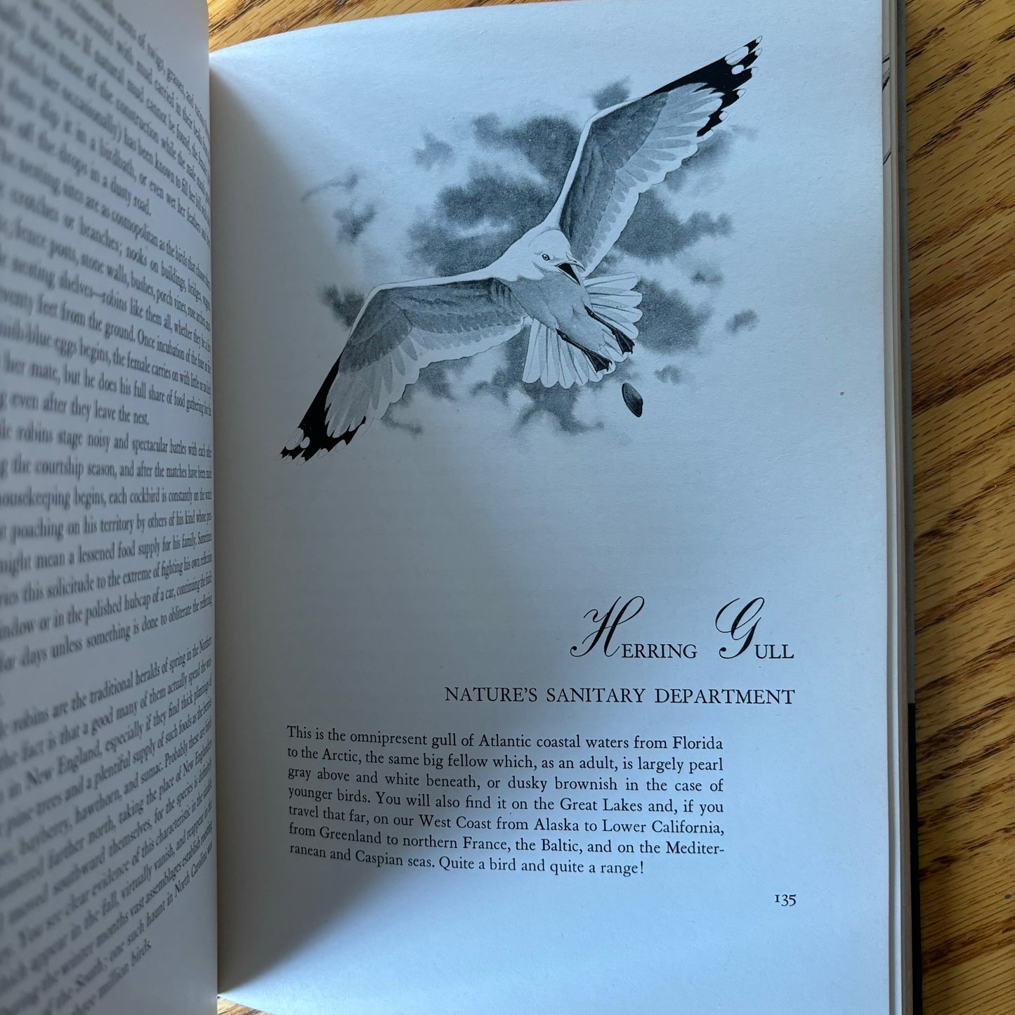 Robert S. Lemmon - Our Amazing Birds - Presentation Edition