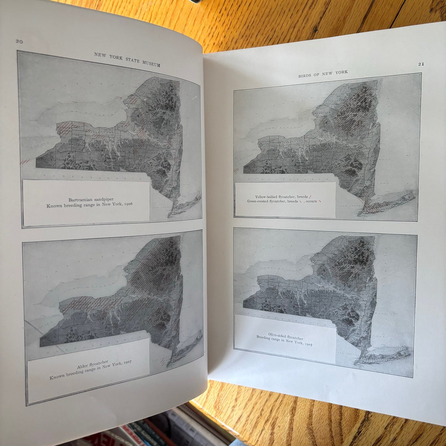 New York State Museum Memoir 12: Birds of New York - 2 Vols.