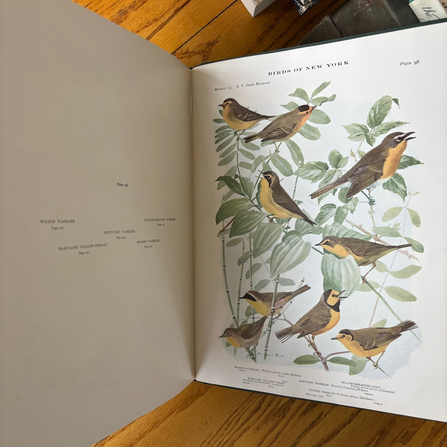 New York State Museum Memoir 12: Birds of New York - 2 Vols.