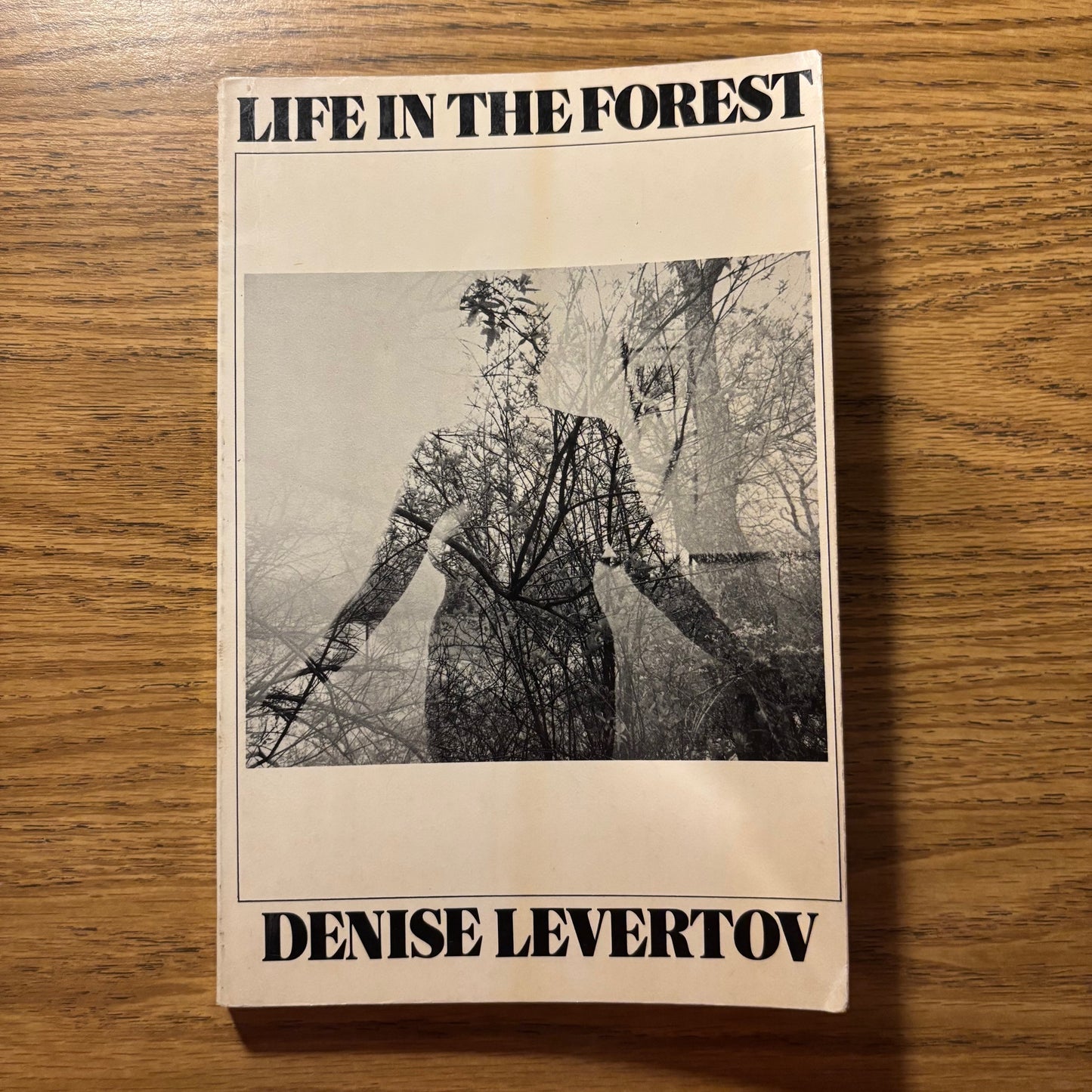 Denise Levertov - Life in the Forest
