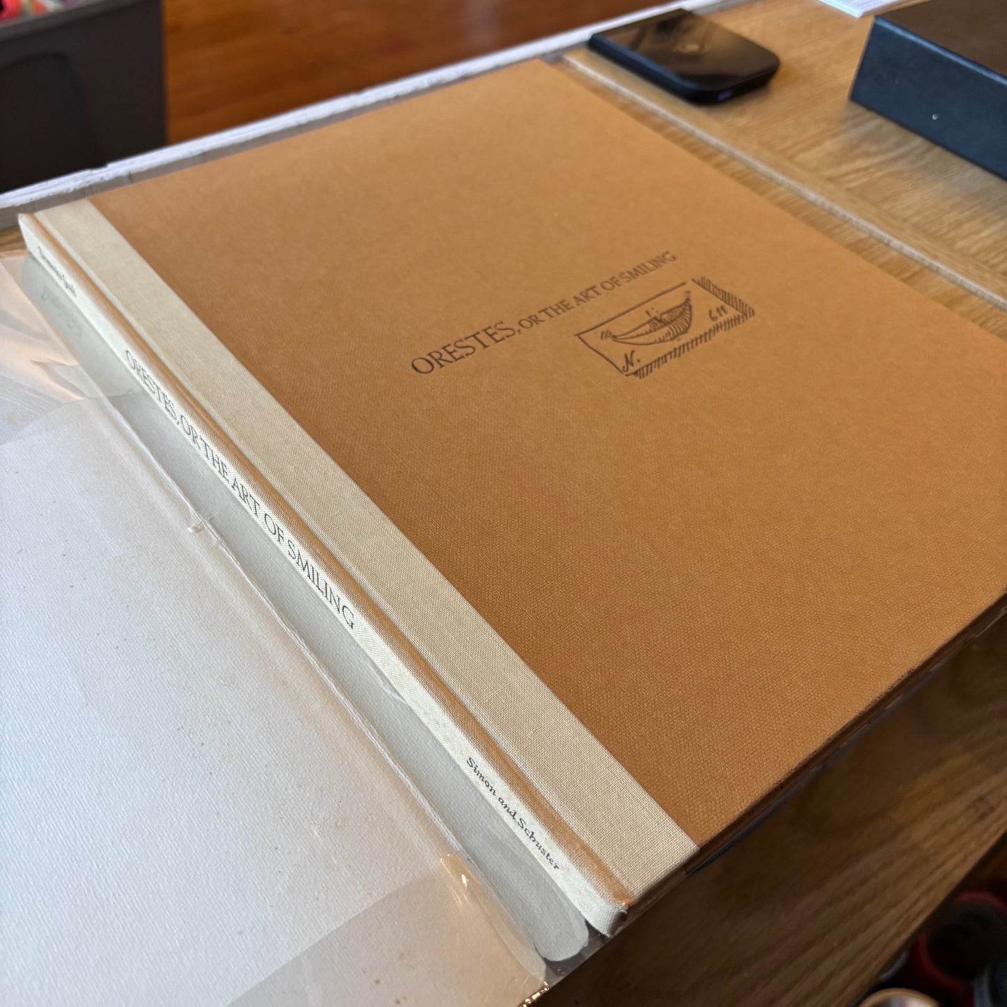 Domenico Gnoli - Orestes, or the Act of Smiling - First Printing