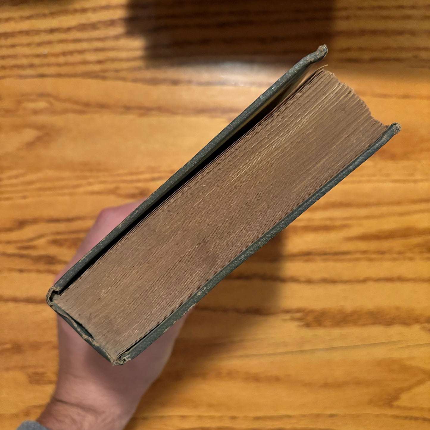 Cameron Rogers - The Magnificent Idler: The Story of Walt Whitman