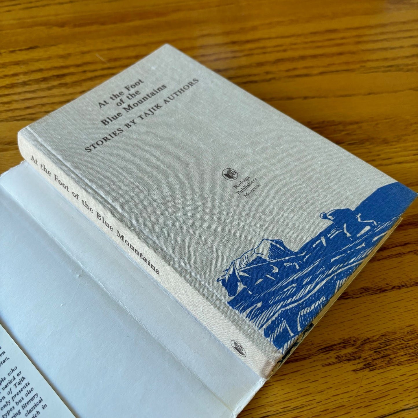Shavkat Niyazi - At the Foot of the Blue Mountains: Stories by Tajik Authors