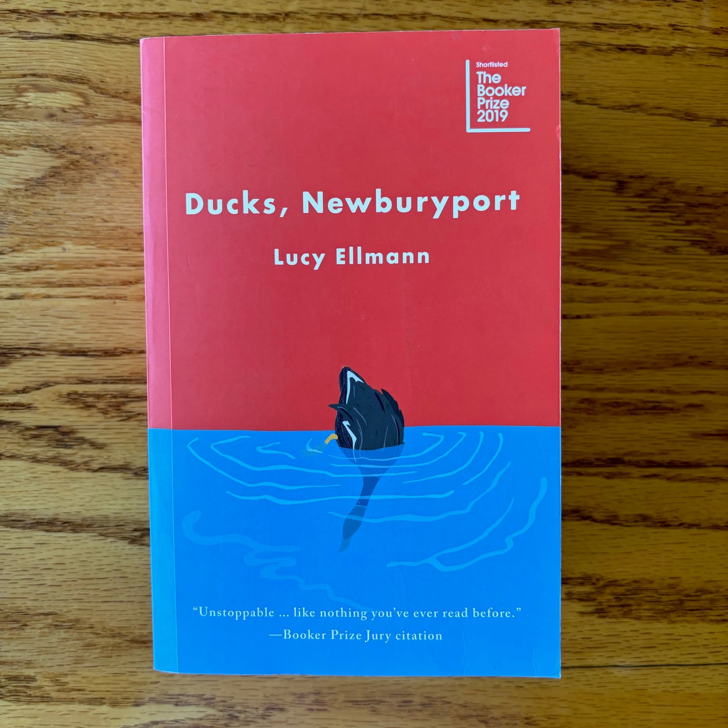 Lucy Ellman - Ducks, Newburyport