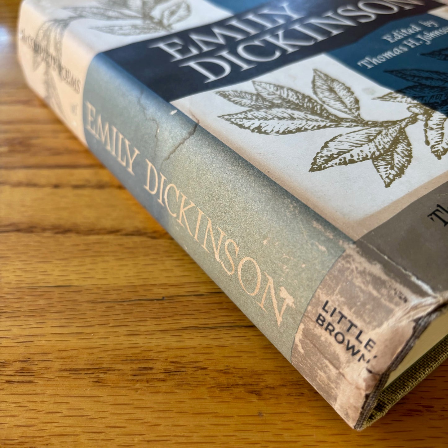 Emily Dickinson - The Complete Poems