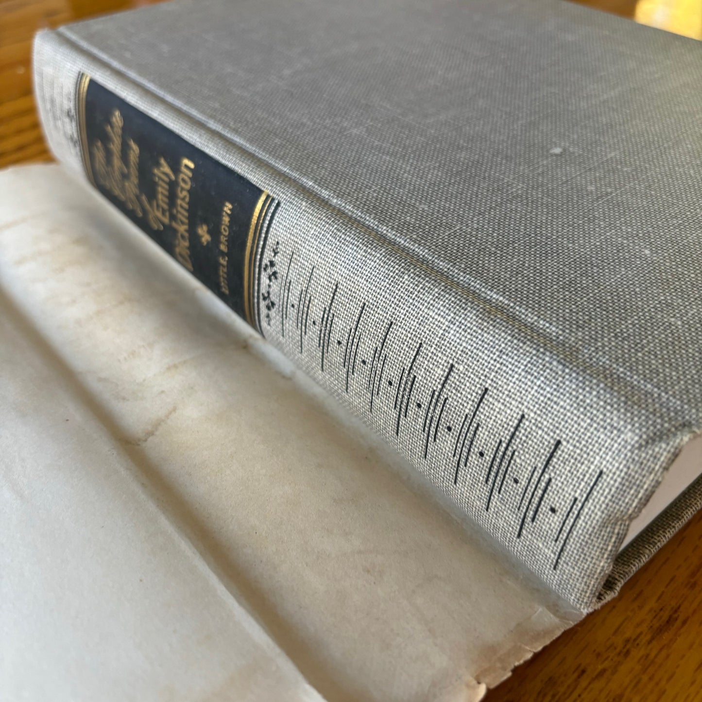 Emily Dickinson - The Complete Poems
