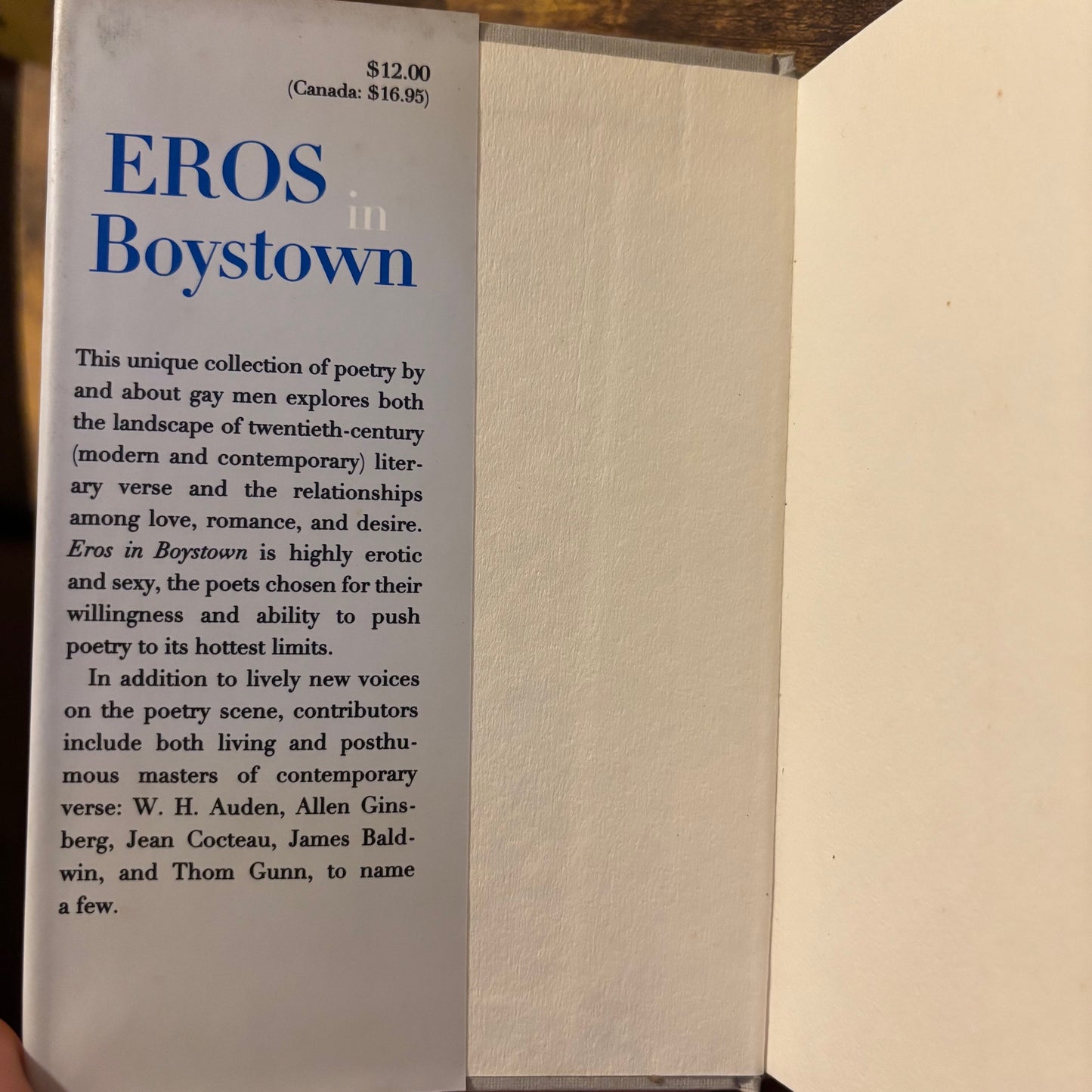 Michael Lassell, ed. - Eros in Boystown: Contemporary Gay Poems About Sex