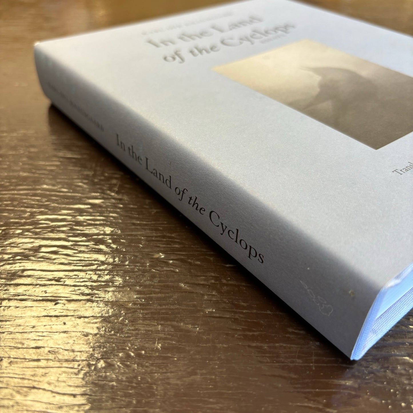 Karl Ove Knausgaard - In the Land of the Cyclops: Essays