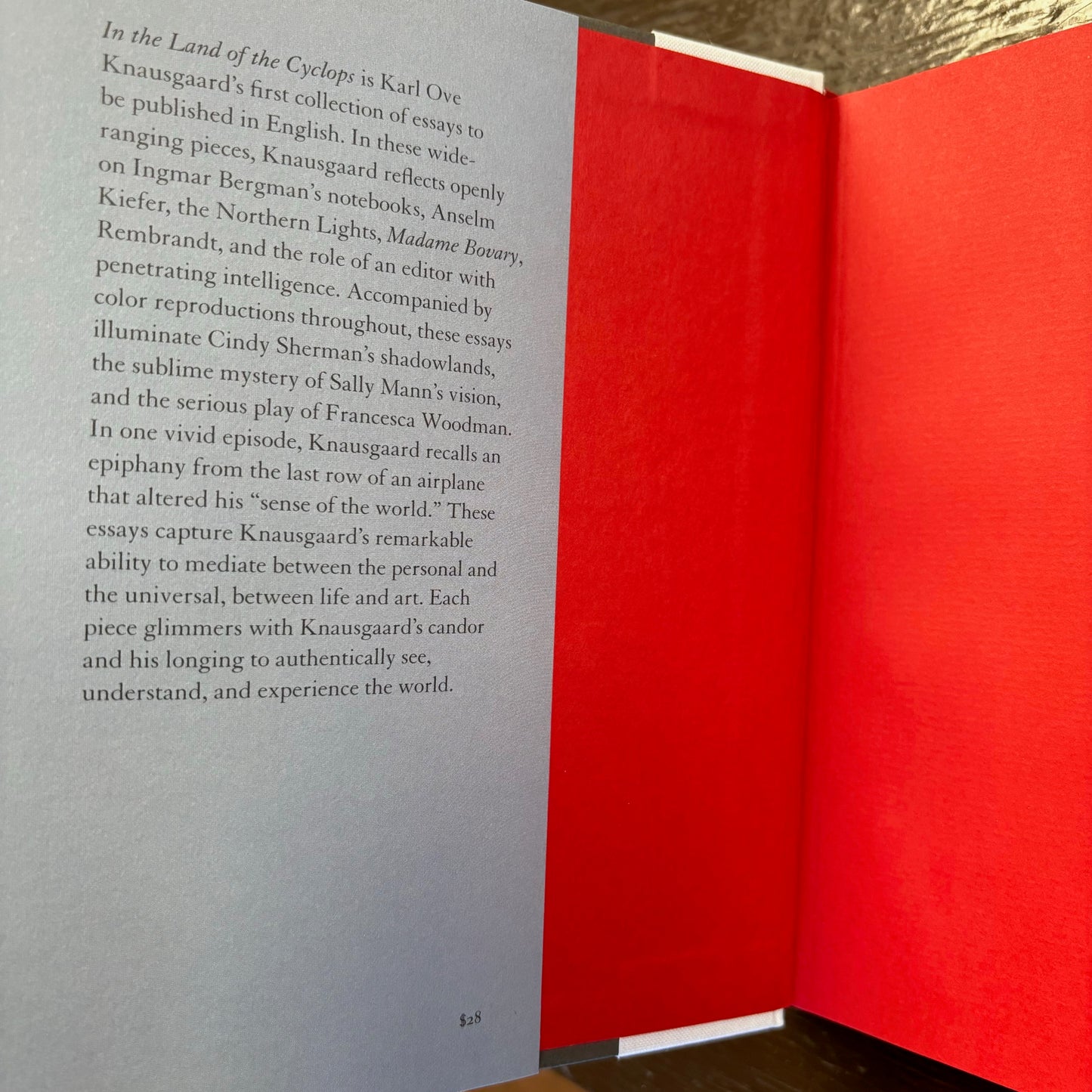 Karl Ove Knausgaard - In the Land of the Cyclops: Essays