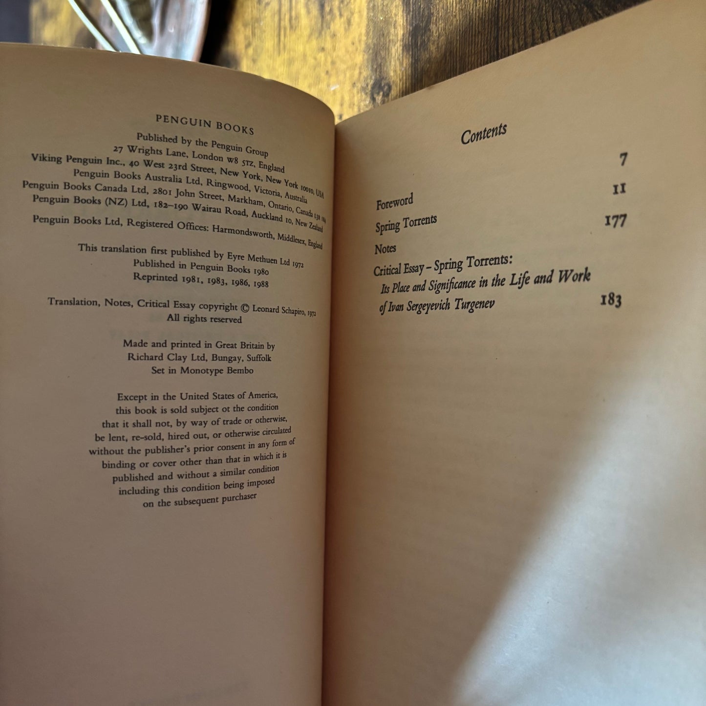 Ivan Turgenev - Spring Torrents