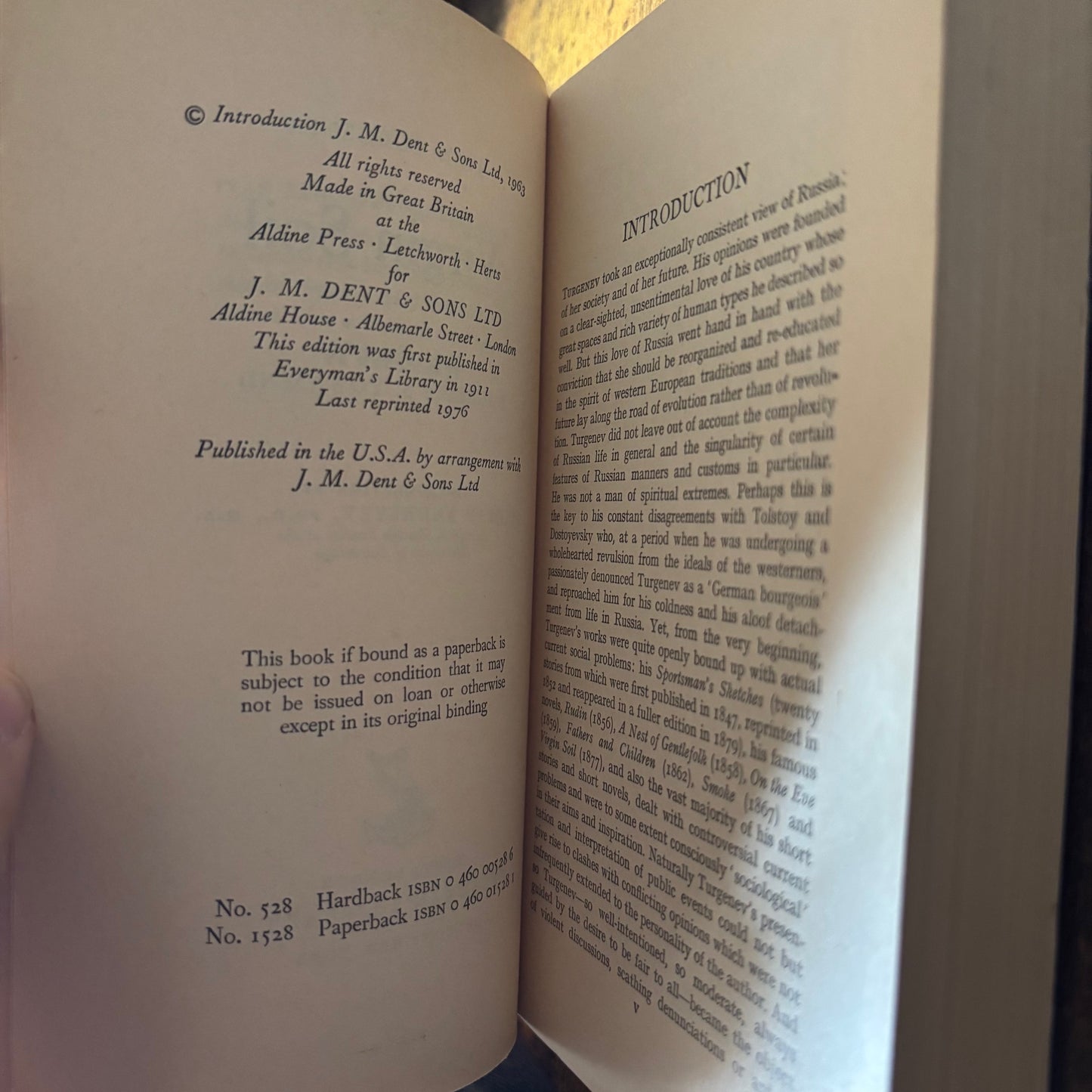 Ivan Turgenev - Virgin Soil