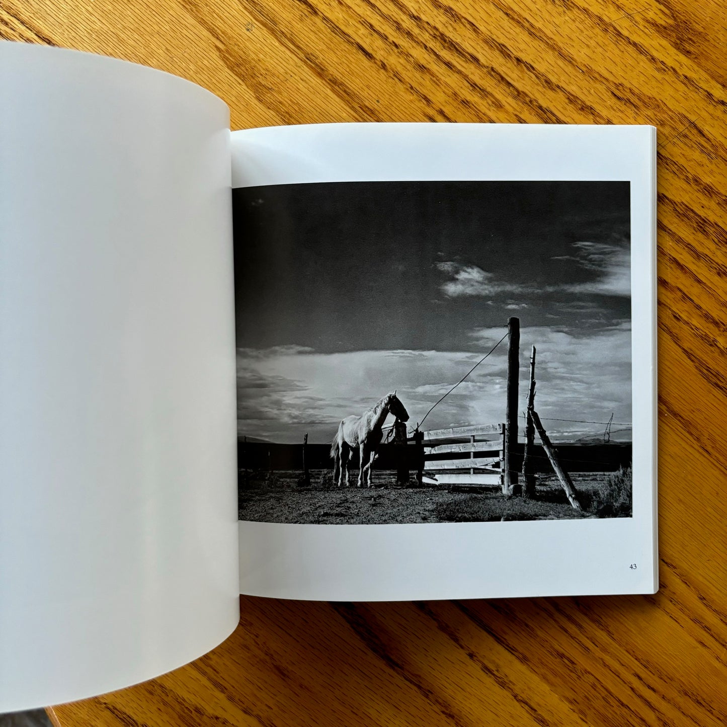 Paul Strand (Aperture Masters of Photography)