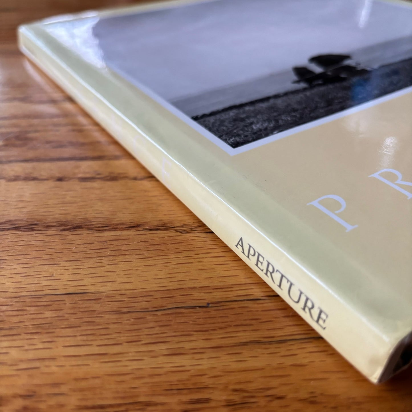 Shirley C. Burden - Presence