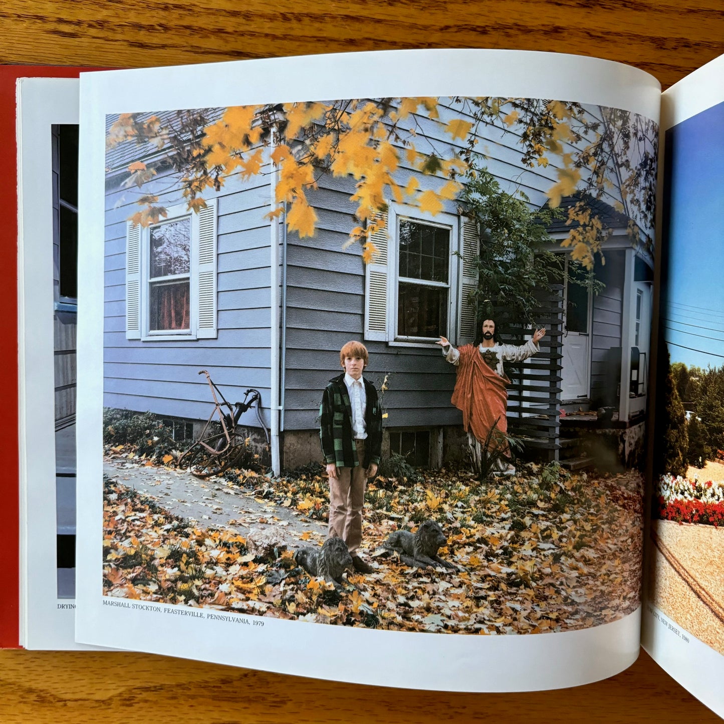 David Graham - American Beauty