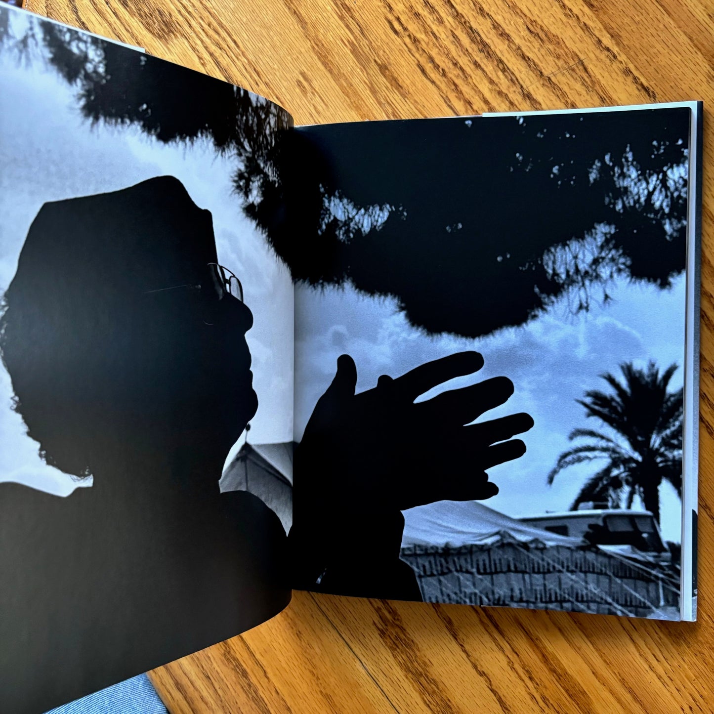 Scott Anderson, Paolo Pellegrin - Fractured Lands
