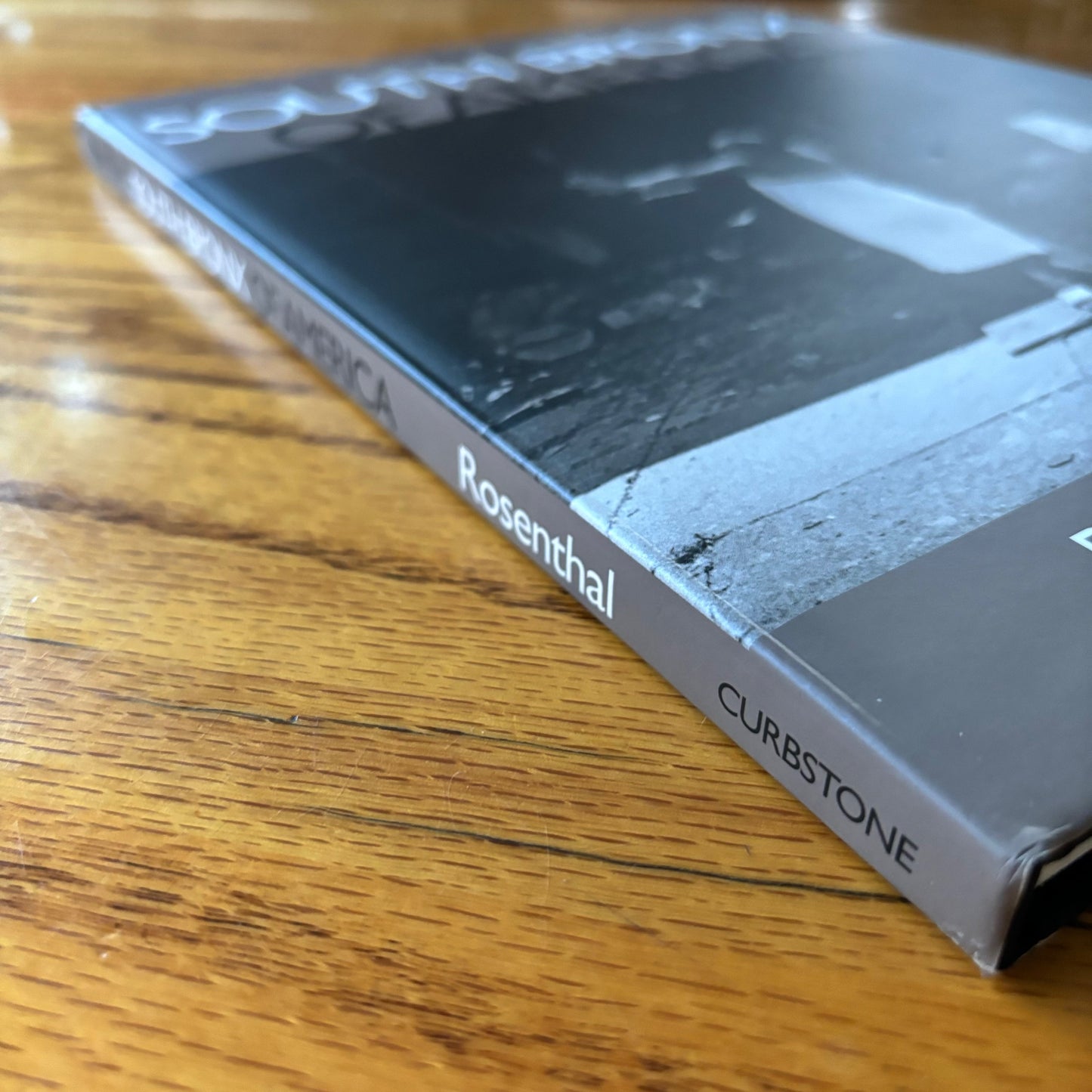 Mel Rosenthal - In the South Bronx of America