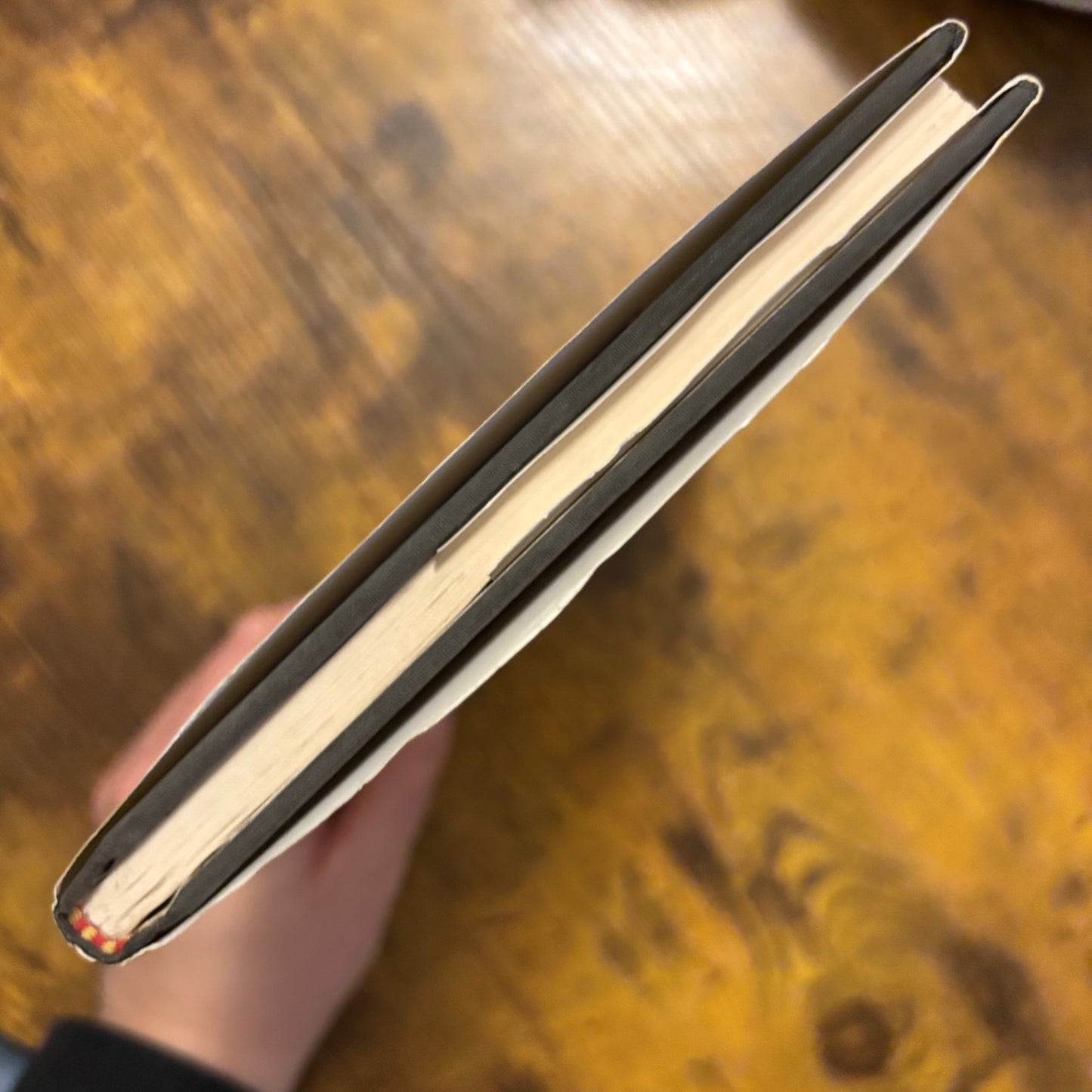 Lawrence Ferlinghetti - Americus - First Edition