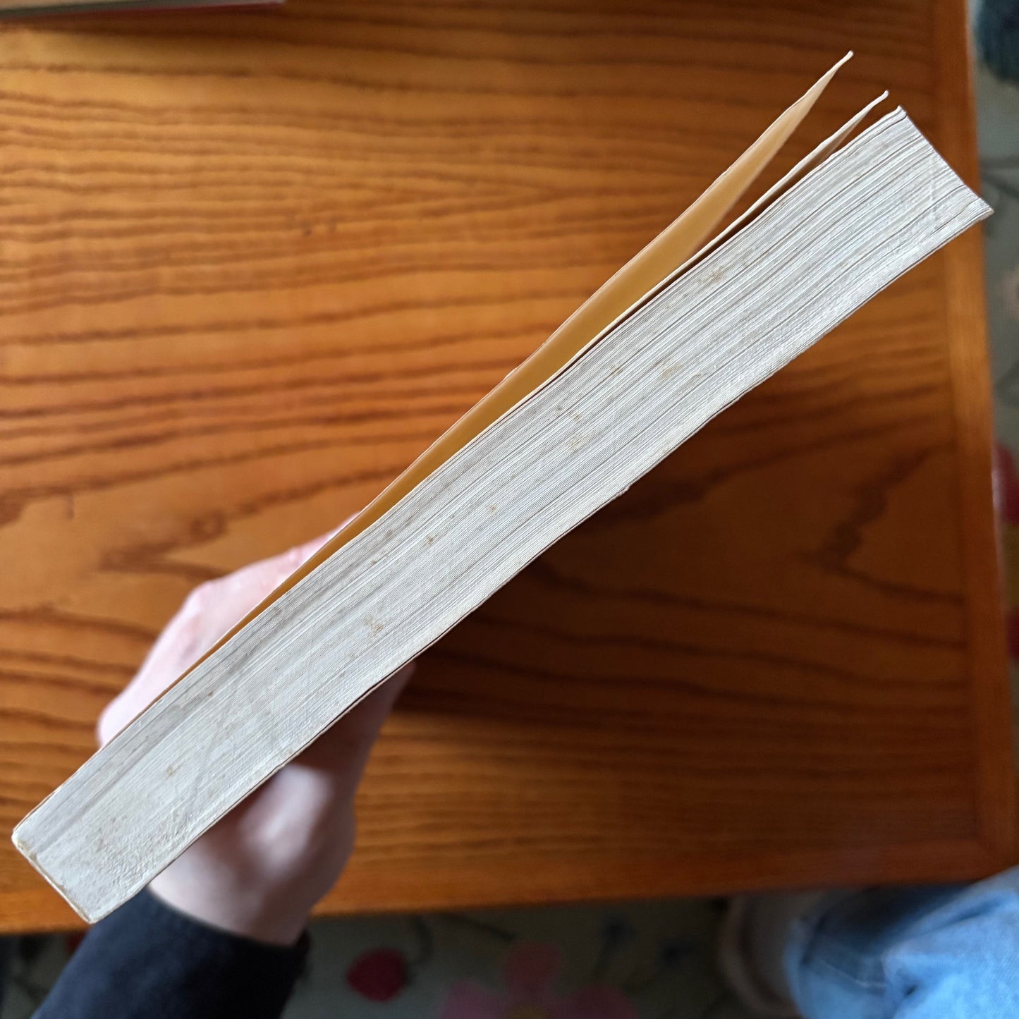 C.K. Brain - The Hunters or the Hunted?: An Introduction to African Cave Taphonomy - First Edition