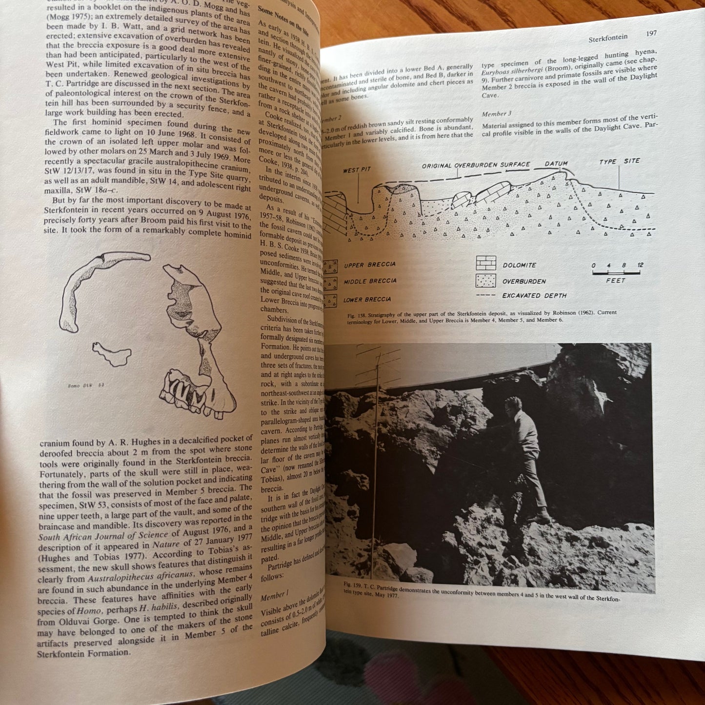 C.K. Brain - The Hunters or the Hunted?: An Introduction to African Cave Taphonomy - First Edition
