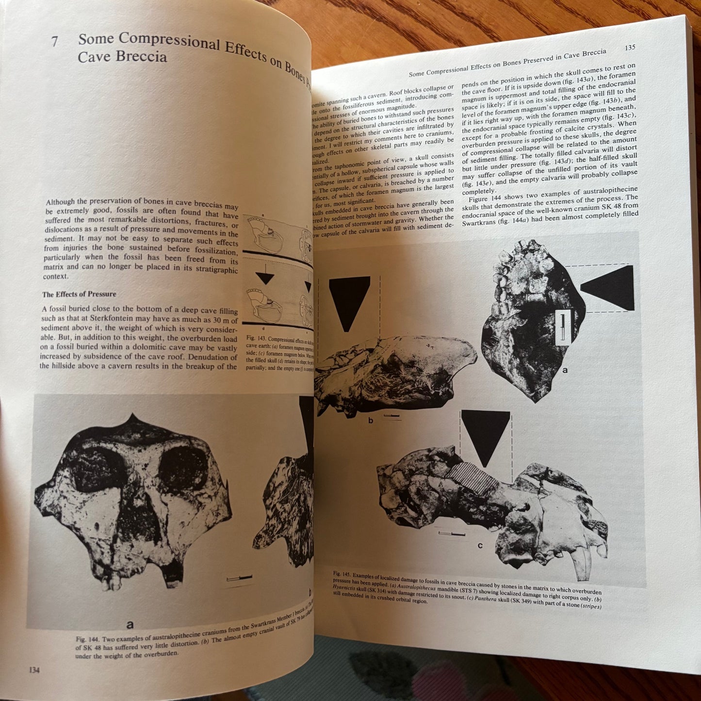C.K. Brain - The Hunters or the Hunted?: An Introduction to African Cave Taphonomy - First Edition