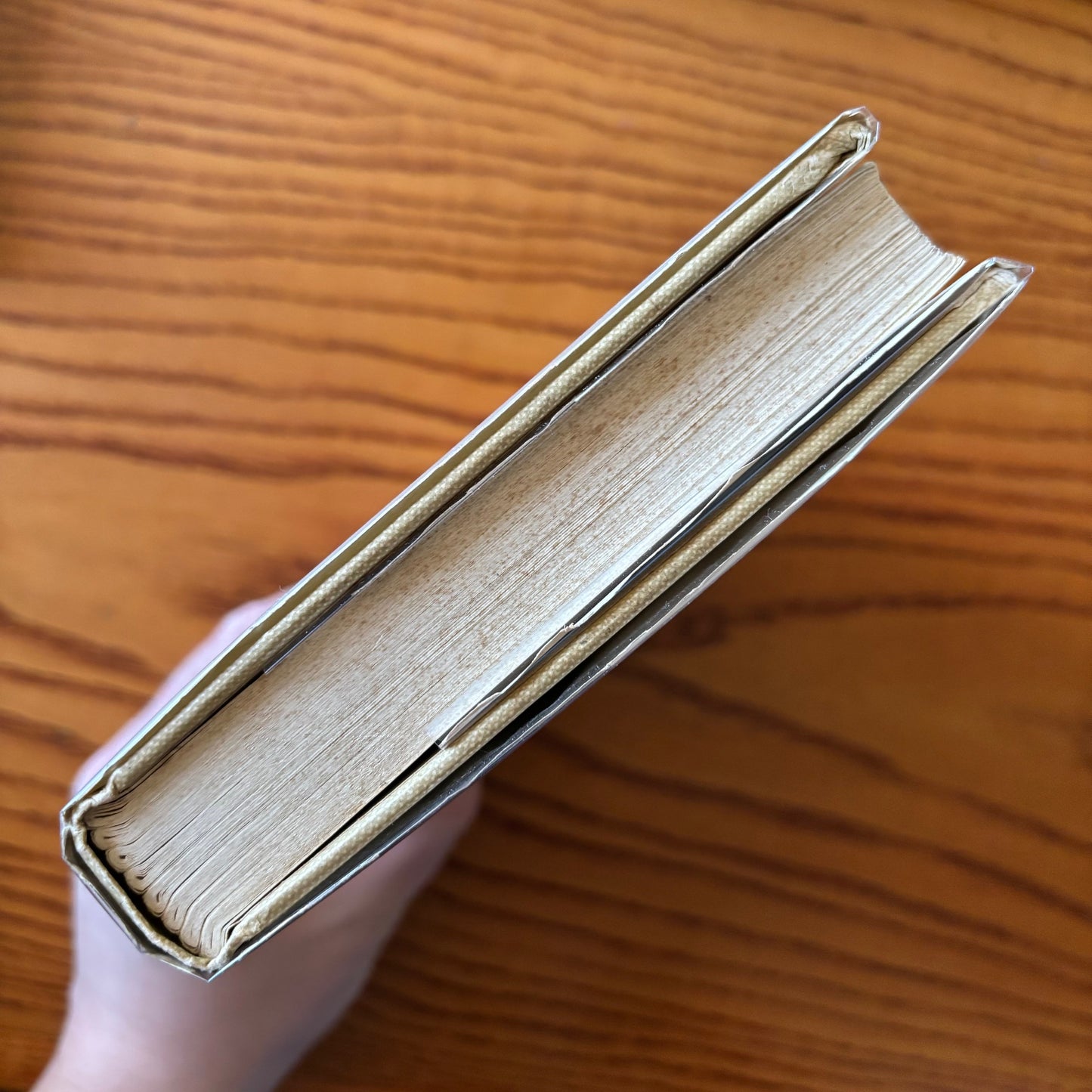 Penelope Ashe - Naked Came the Stranger - First Edition