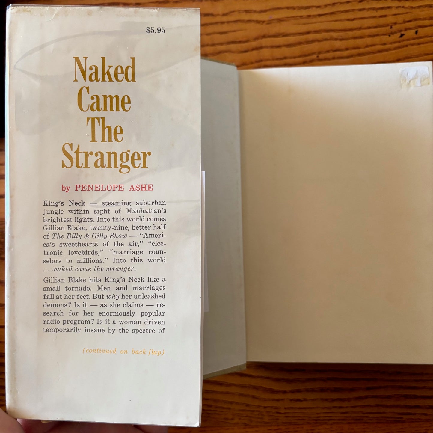 Penelope Ashe - Naked Came the Stranger - First Edition