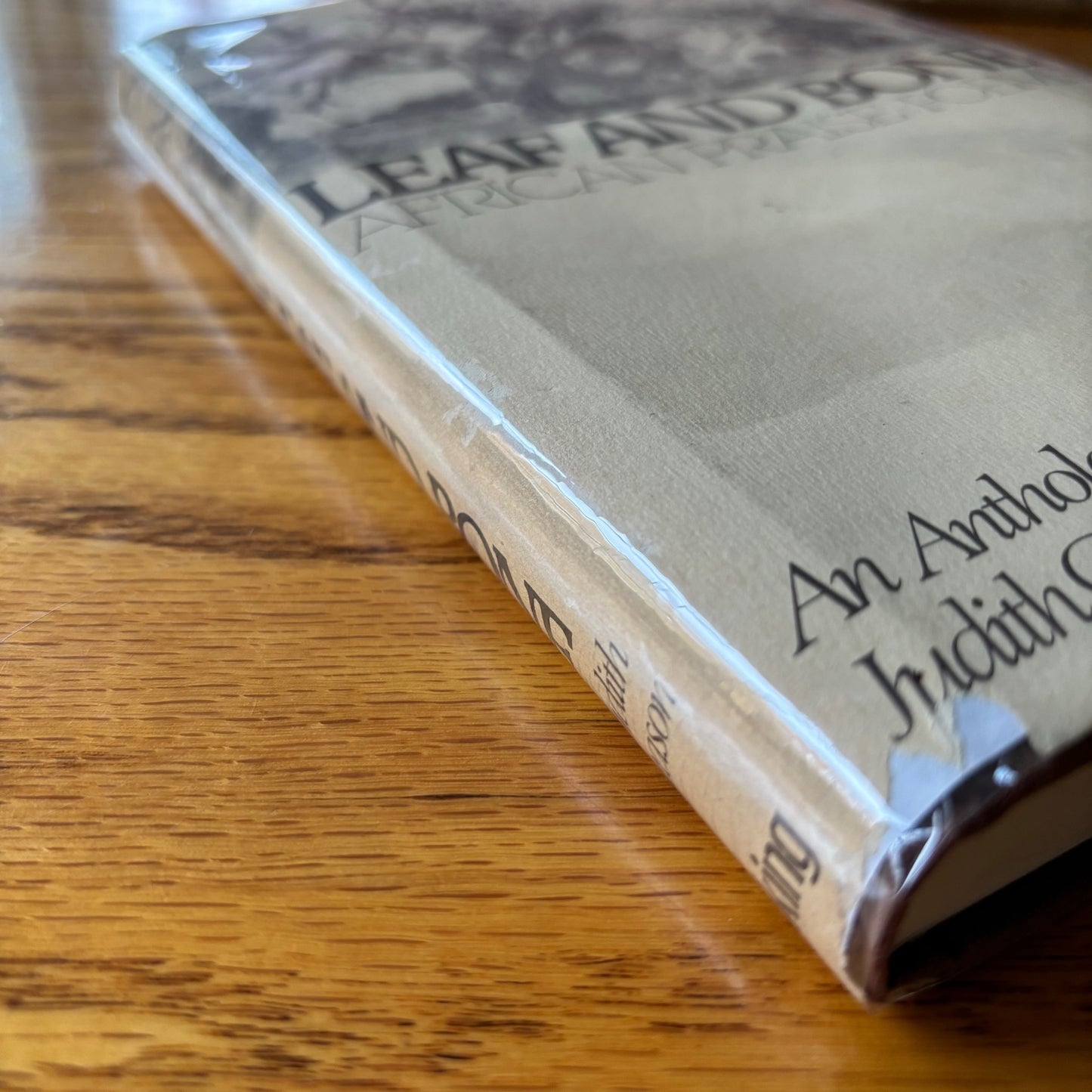 Judith Gleason, ed. - Leaf and Bone: African Praise-Poems