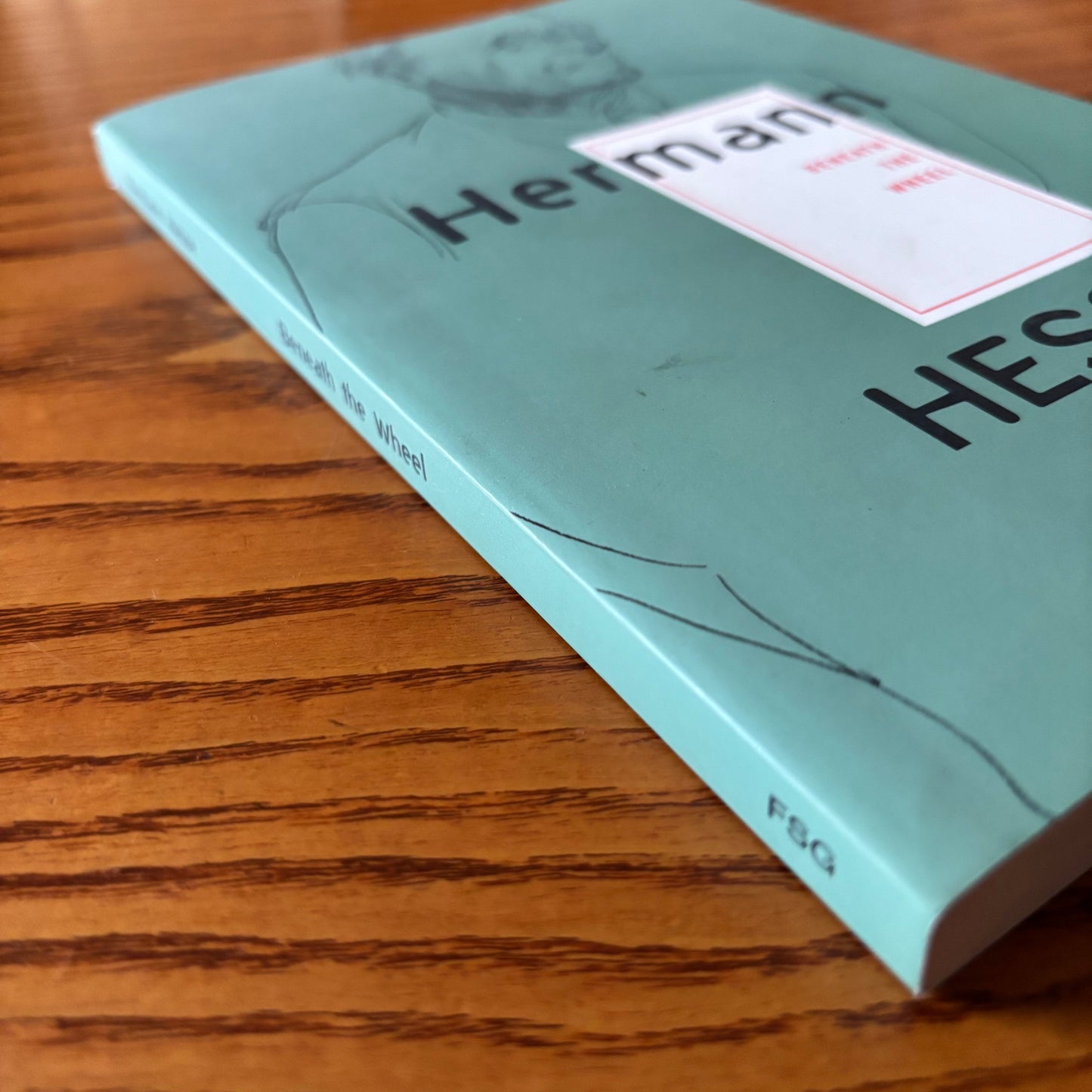 Hermann Hesse - Beneath the Wheel