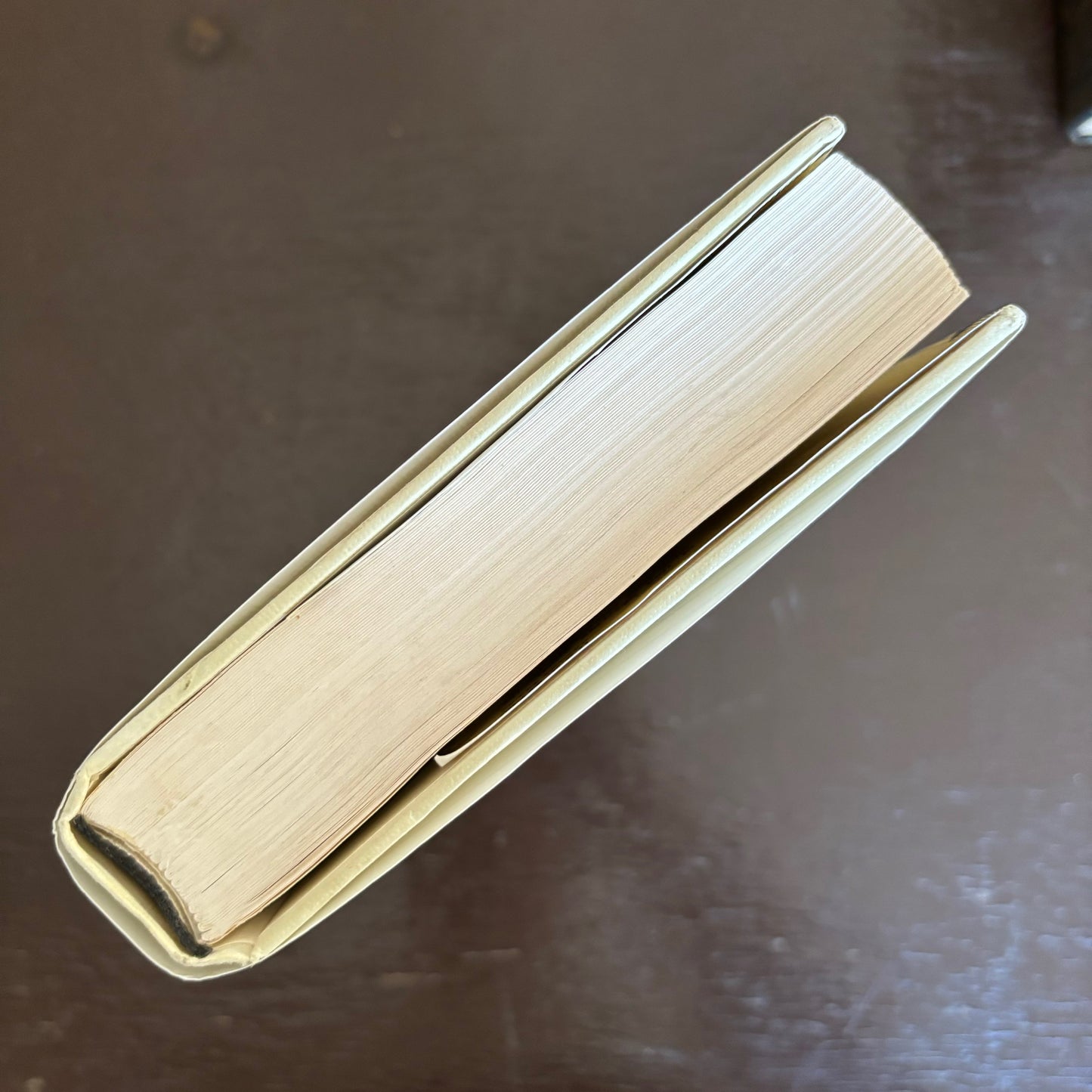 Roberto Bolano - The Savage Detectives - First Edition