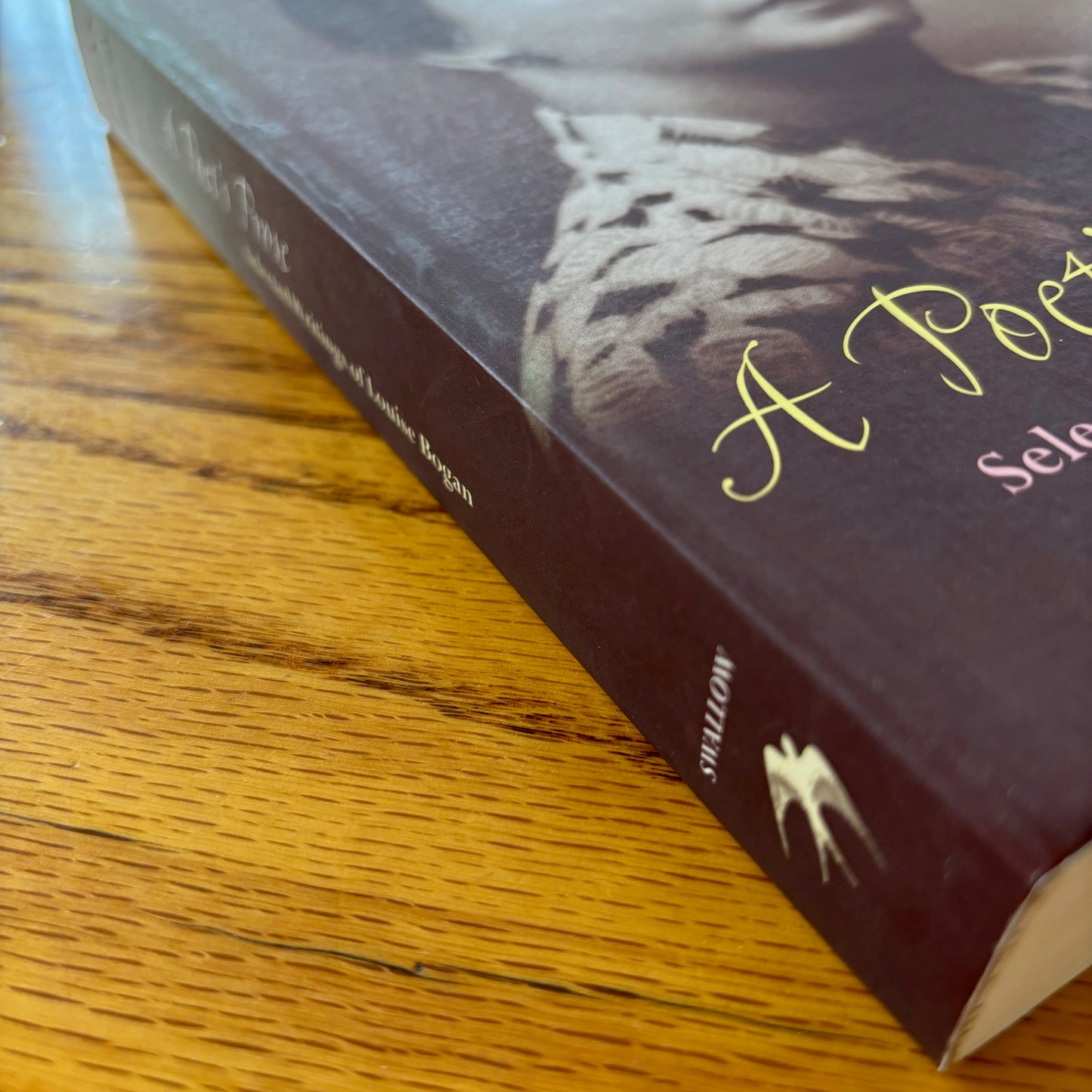 Louise Bogan - A Poet's Prose: Selected Writings