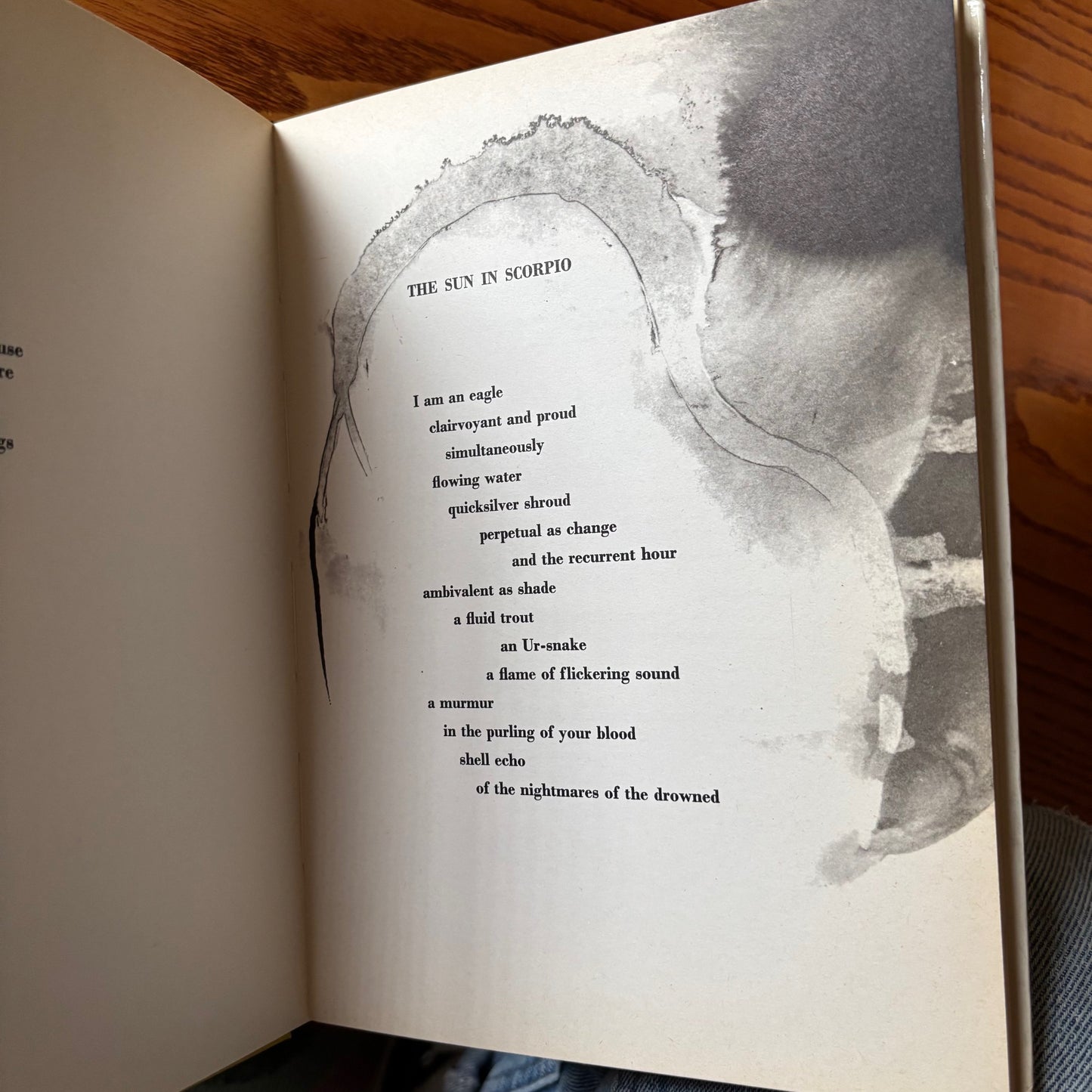 Joyce Wittenborn - The Sun in Scorpio