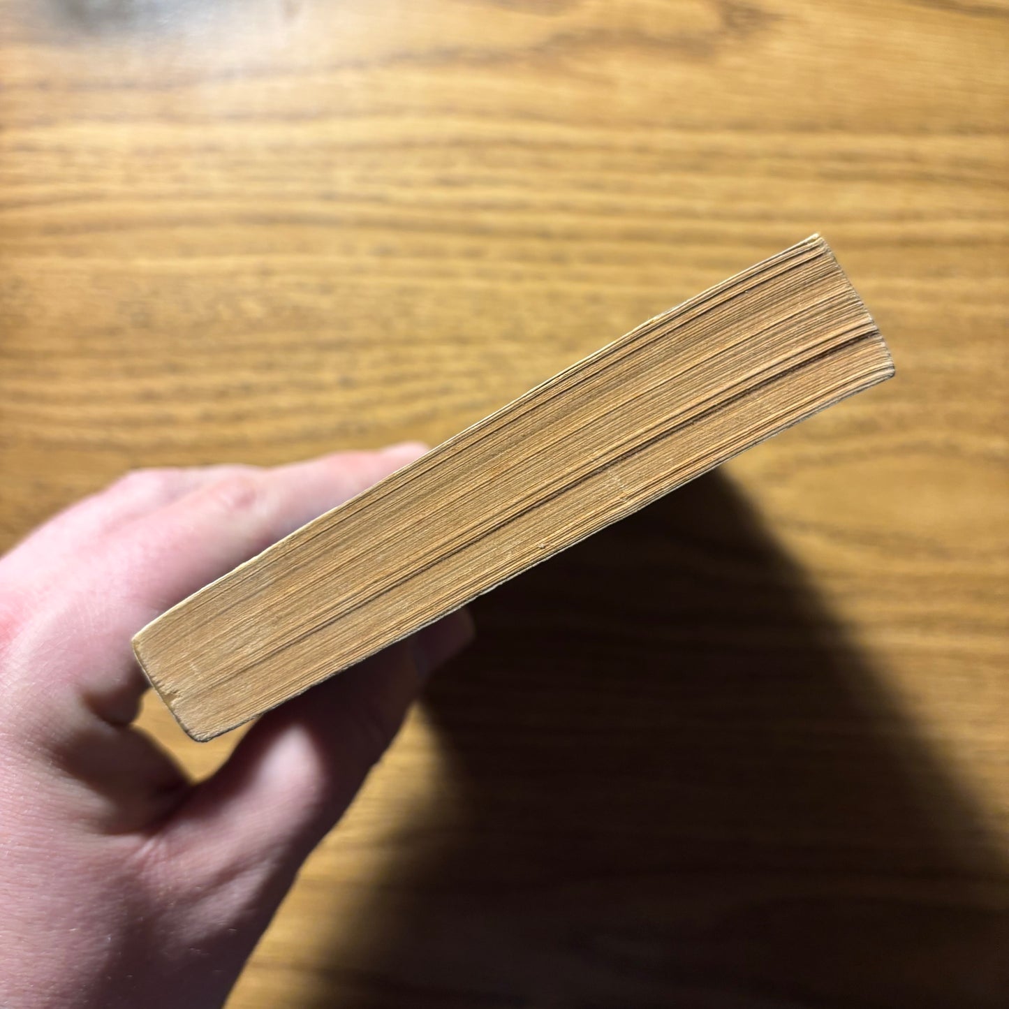 Andrew J. Offutt, ed. - Swords Against Darkness II - First Edition