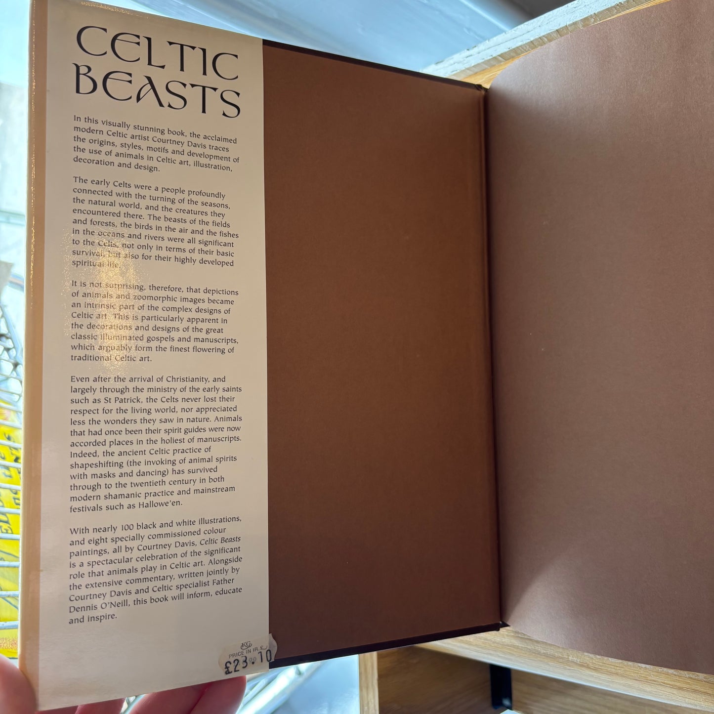 Courtney Davis - Celtic Beasts - First Edition