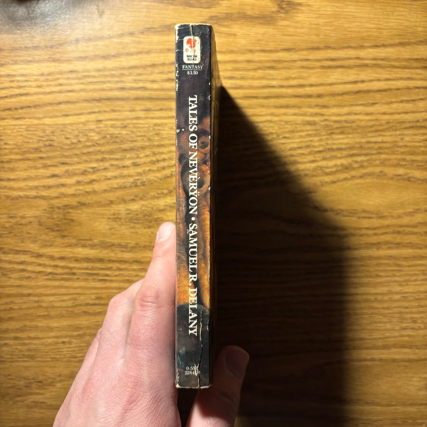 Samuel R. Delany - Tales of Neveryon