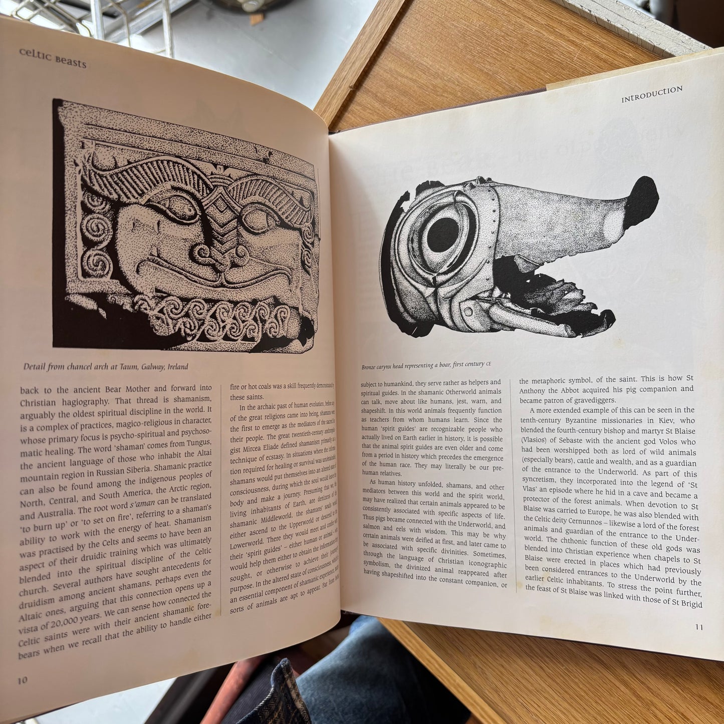 Courtney Davis - Celtic Beasts - First Edition