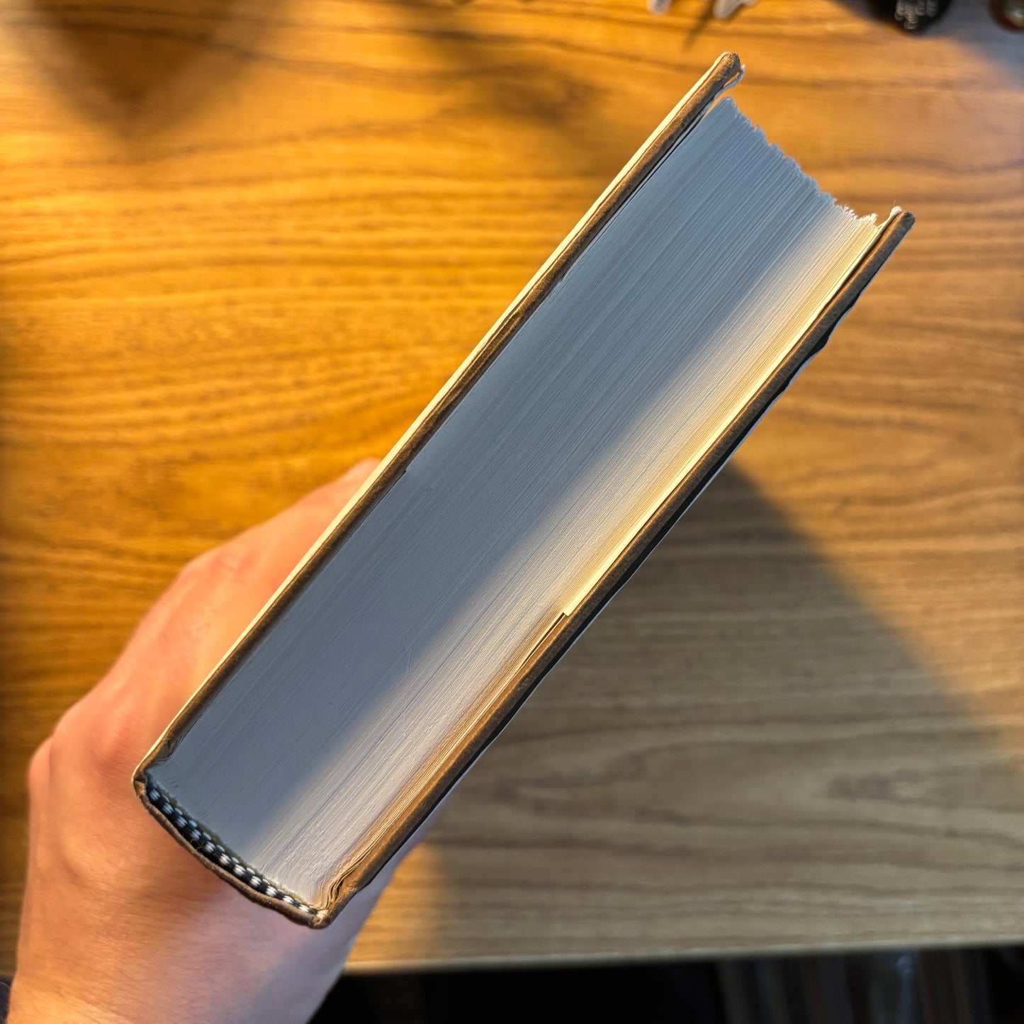 David Foster Wallace - The Pale King - First Edition