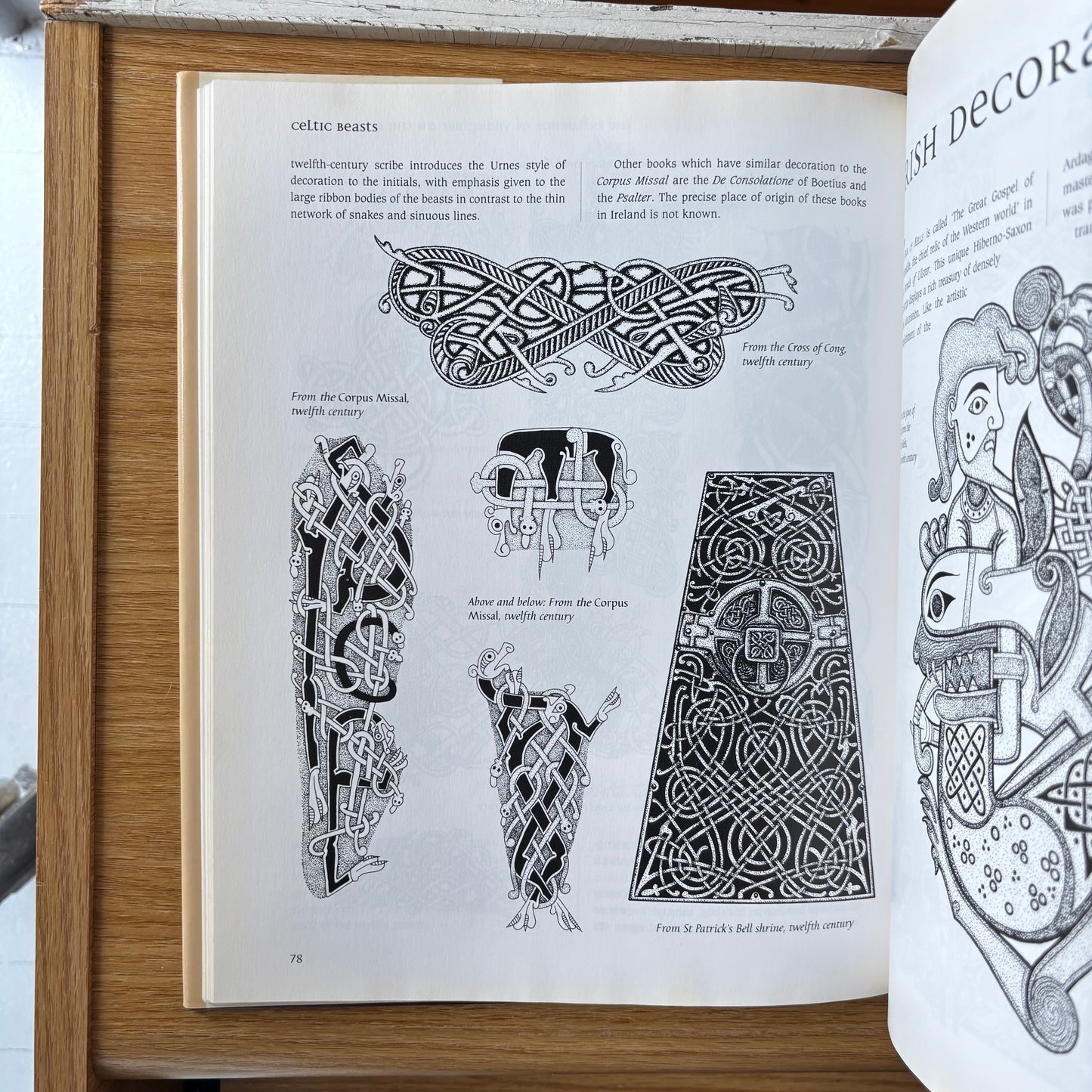 Courtney Davis - Celtic Beasts - First Edition