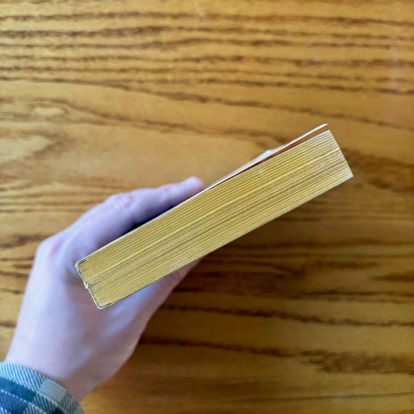 Abbie Hoffman - Steal This Book - Pirate Editions First Edition