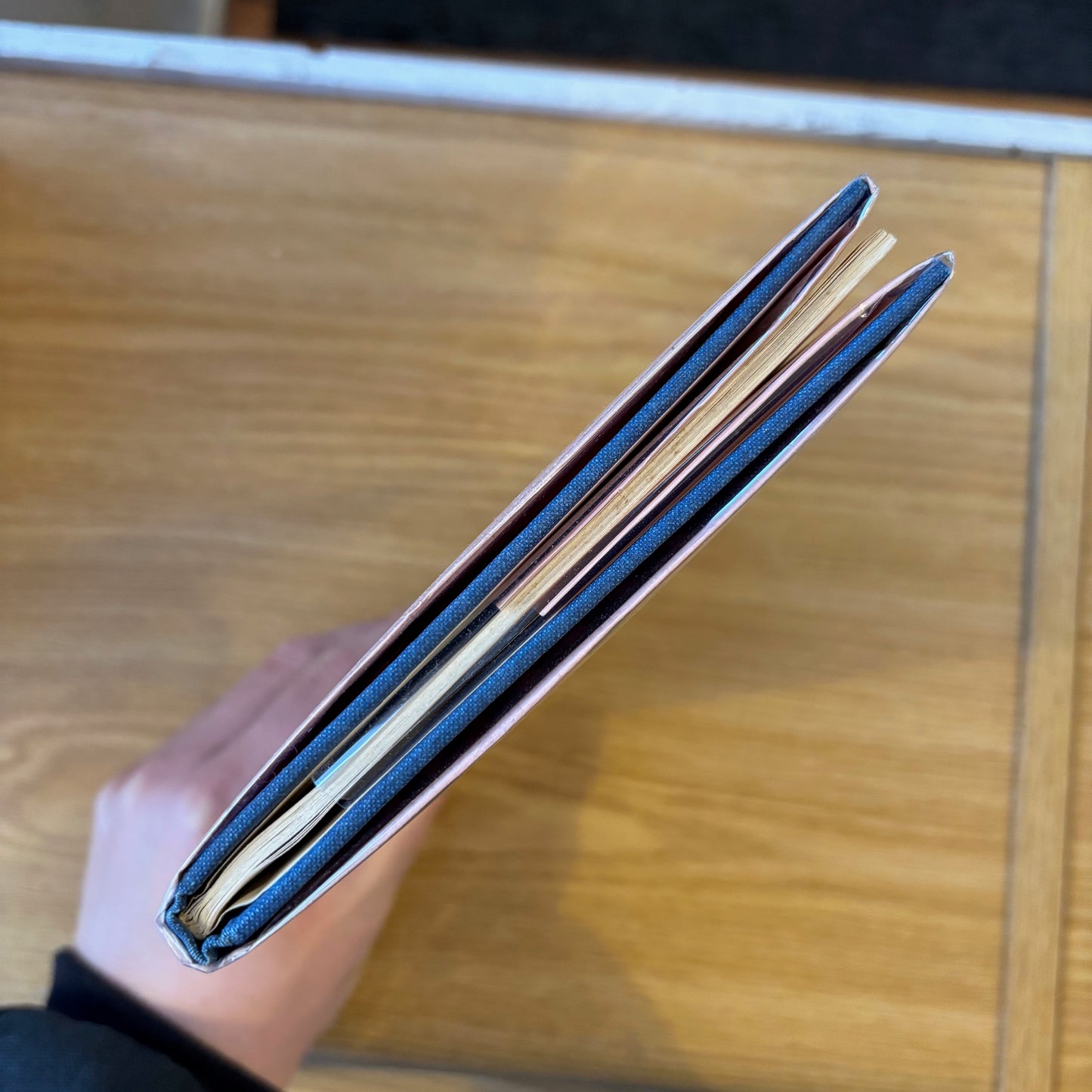 Thom Gunn - Fighting Terms