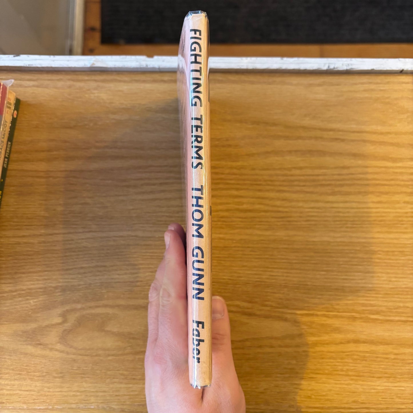 Thom Gunn - Fighting Terms