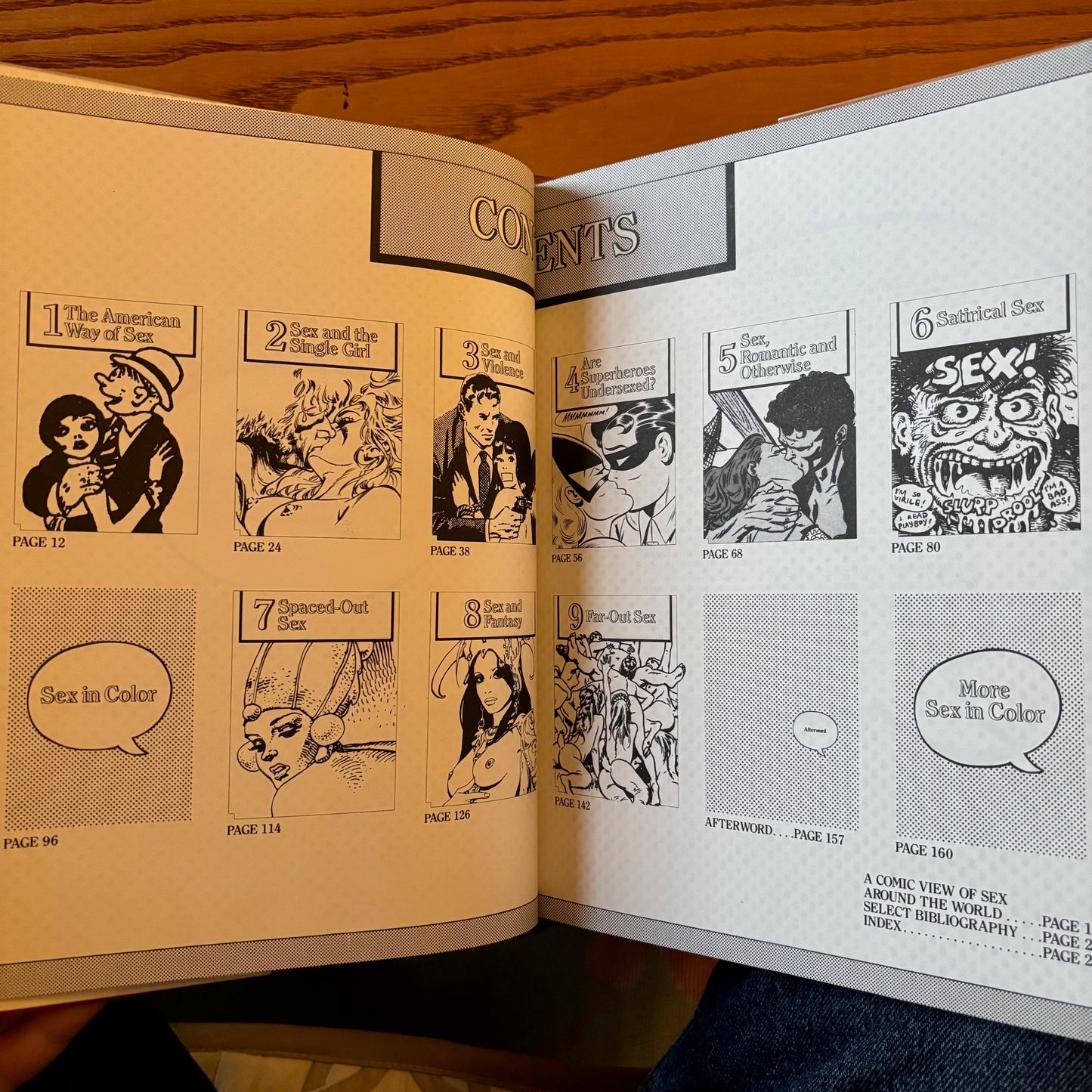 Maurice Horn - Sex in the Comics
