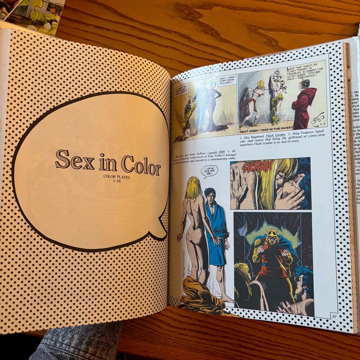 Maurice Horn - Sex in the Comics