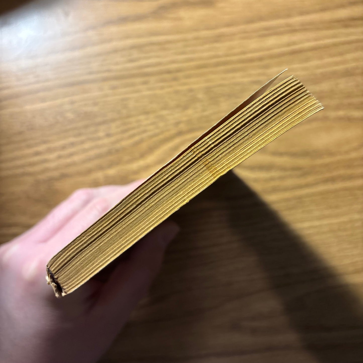 Joseph Henry Jackson & Lenore Glen Offord - The Girl in the Belfry - First Edition