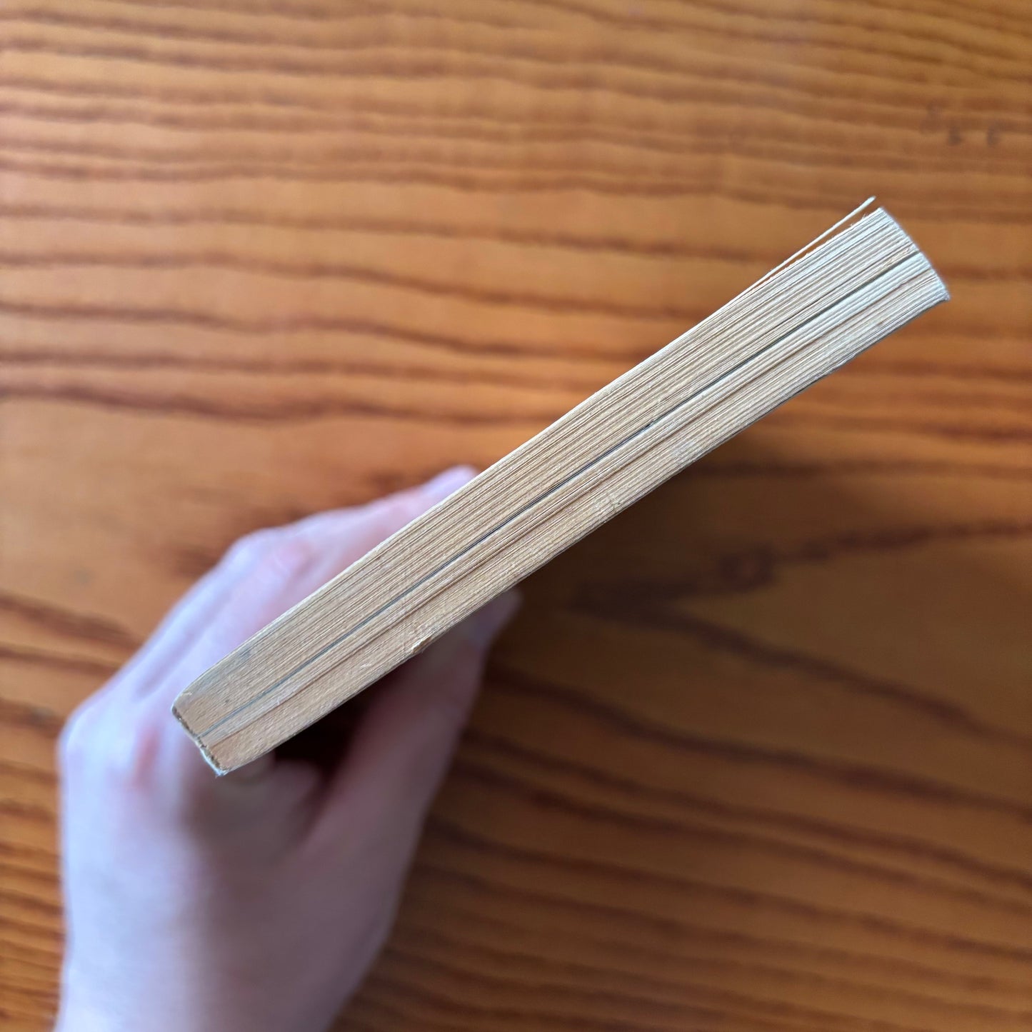 A.C.H. Smith - The Dark Crystal - First Edition
