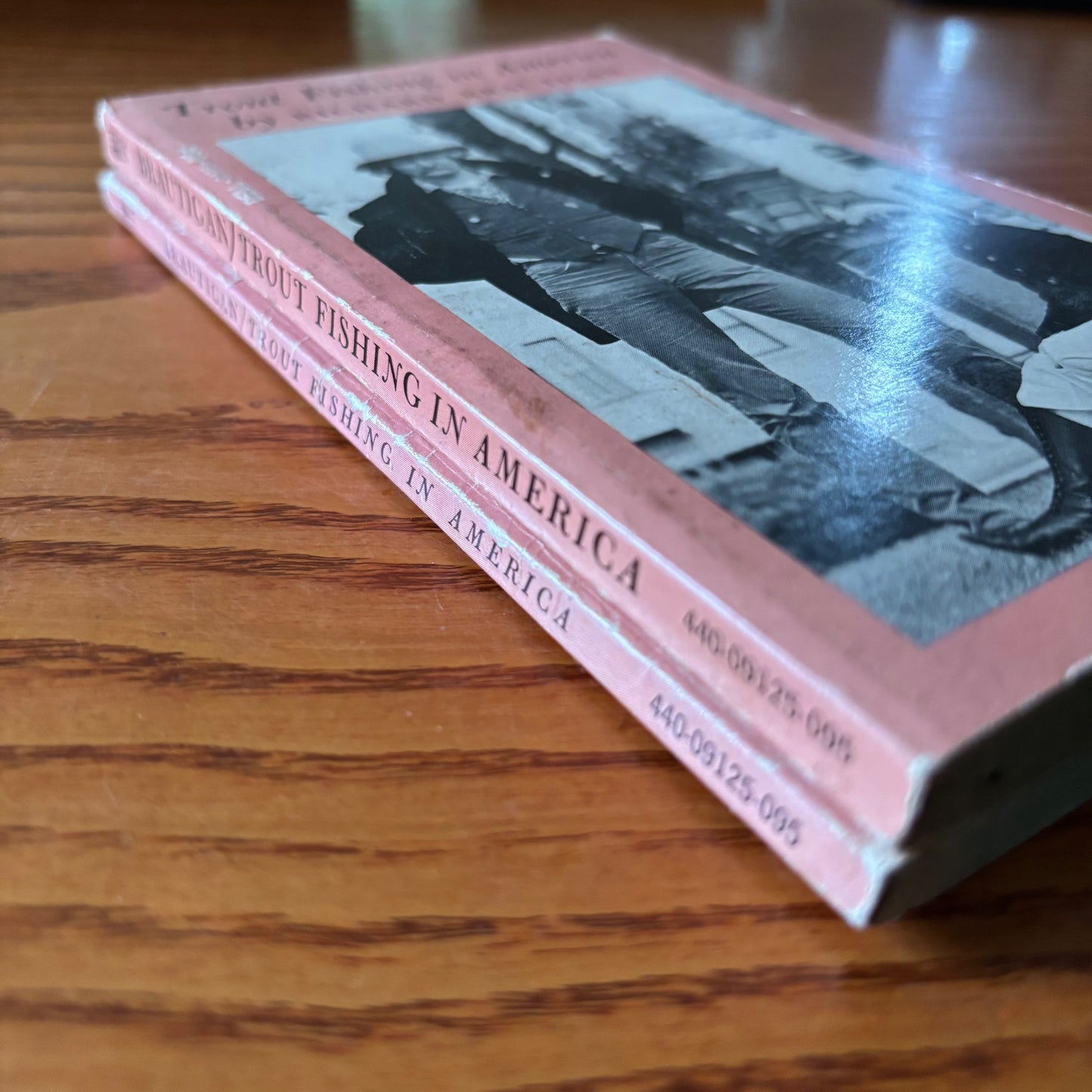 Richard Brautigan - Trout Fishing in America