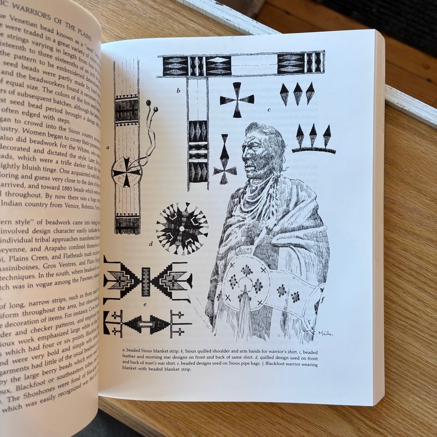 Thomas E. Mails - The Mystic Warriors of the Plains - First Edition Paperback